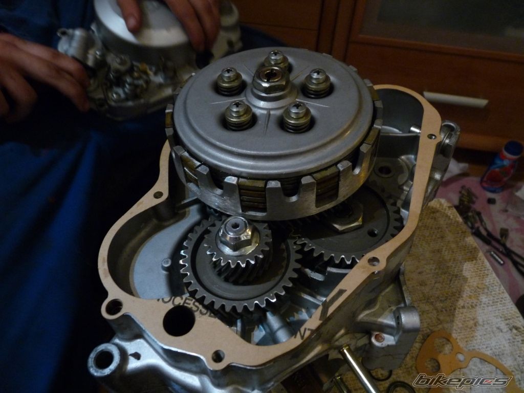 Photo 2269092