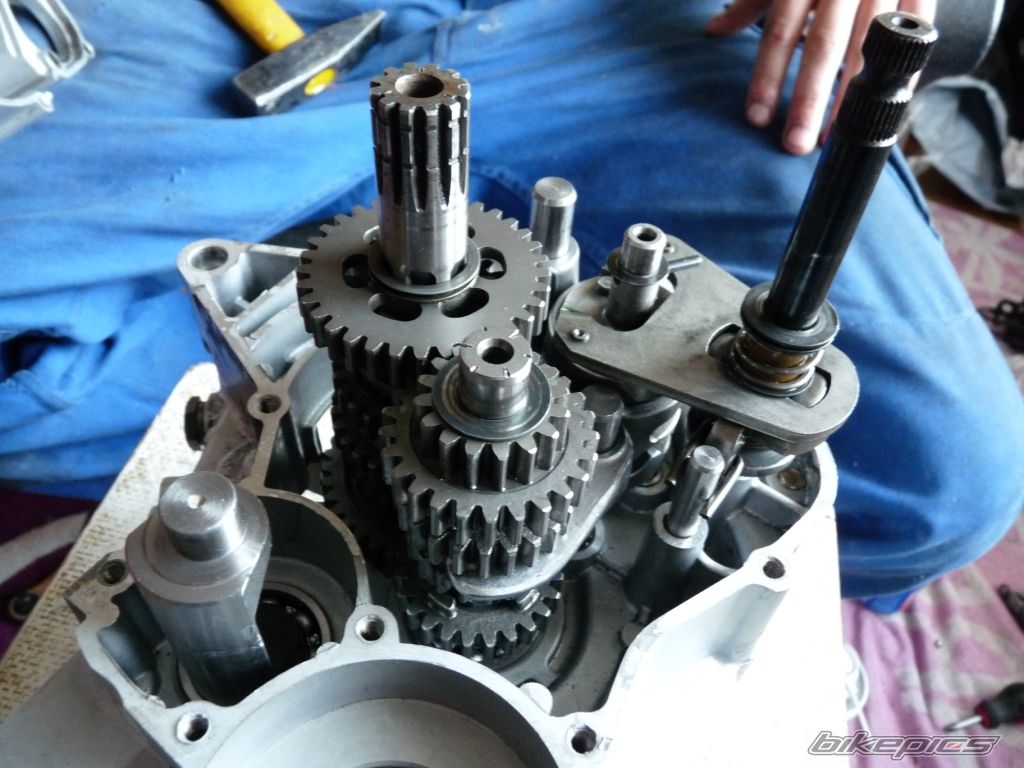 Photo 2269094