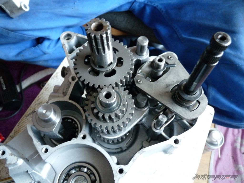 Photo 2269095