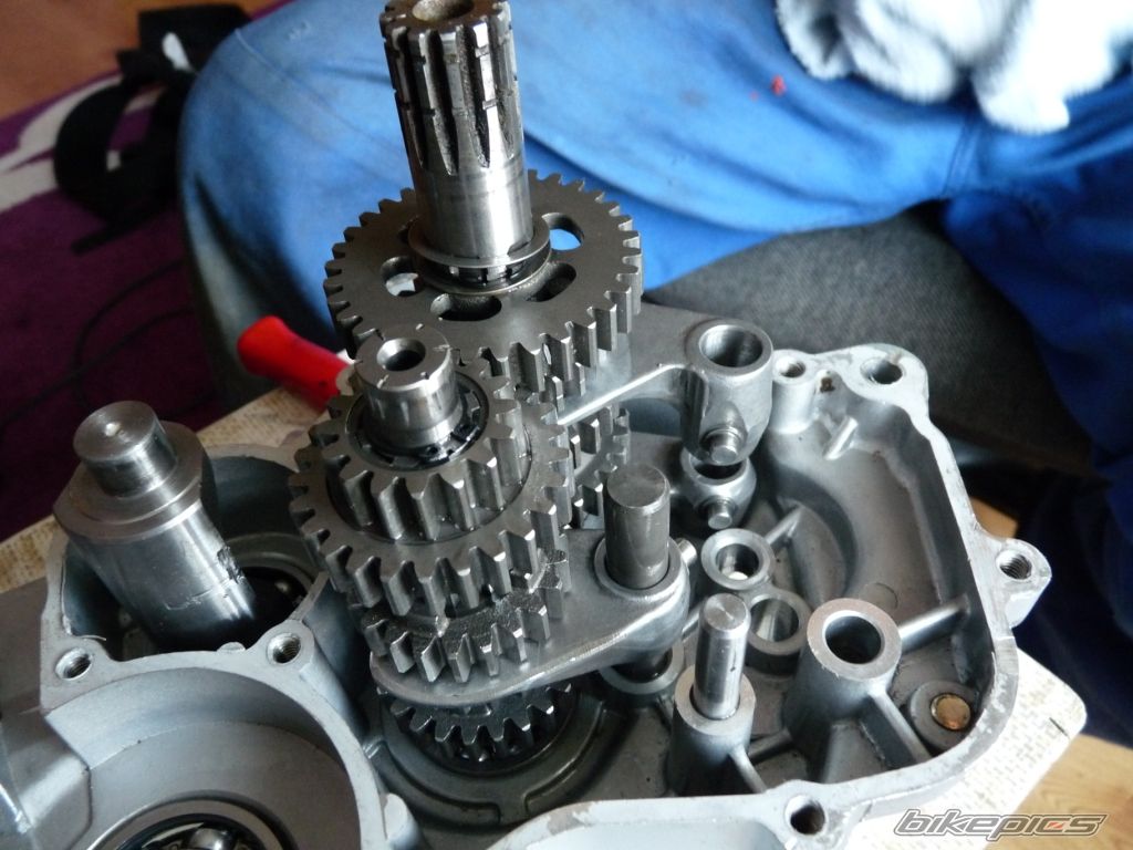 Photo 2269098