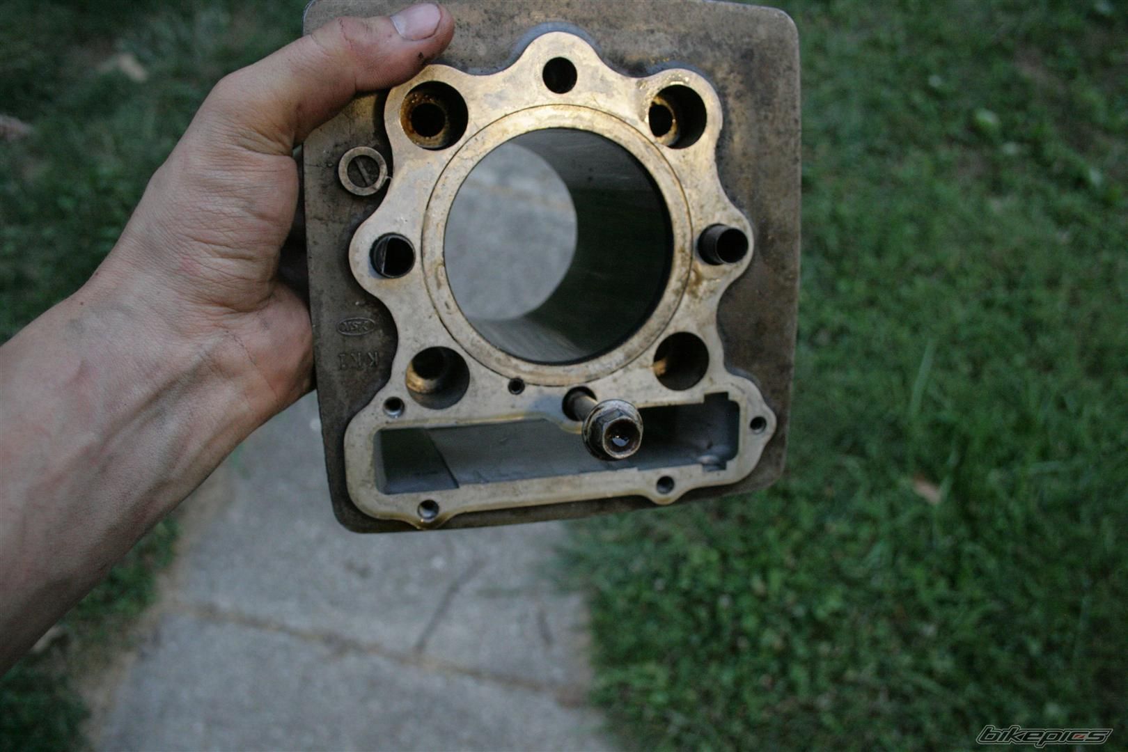 Photo 2269254