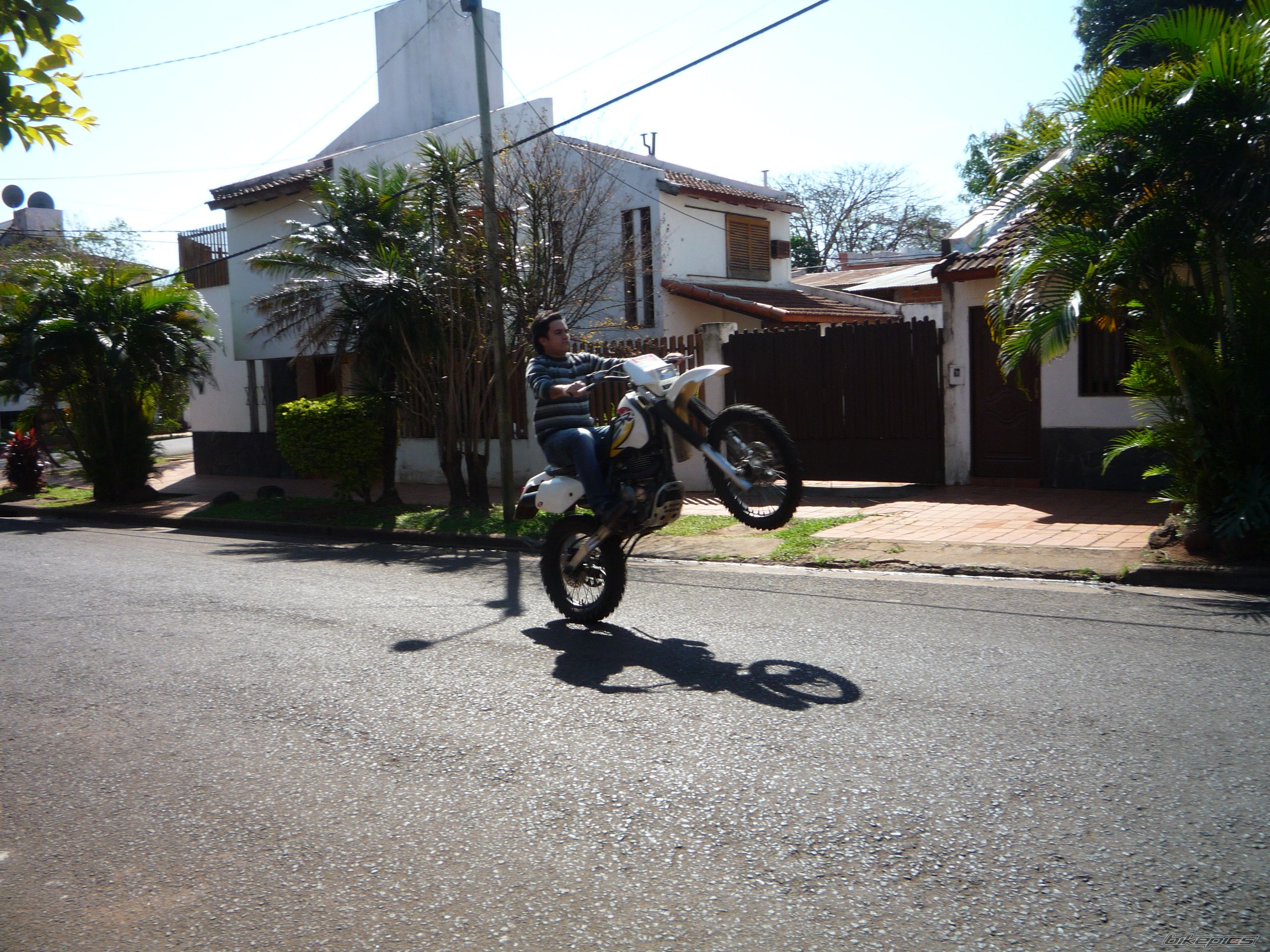 Photo 2269281