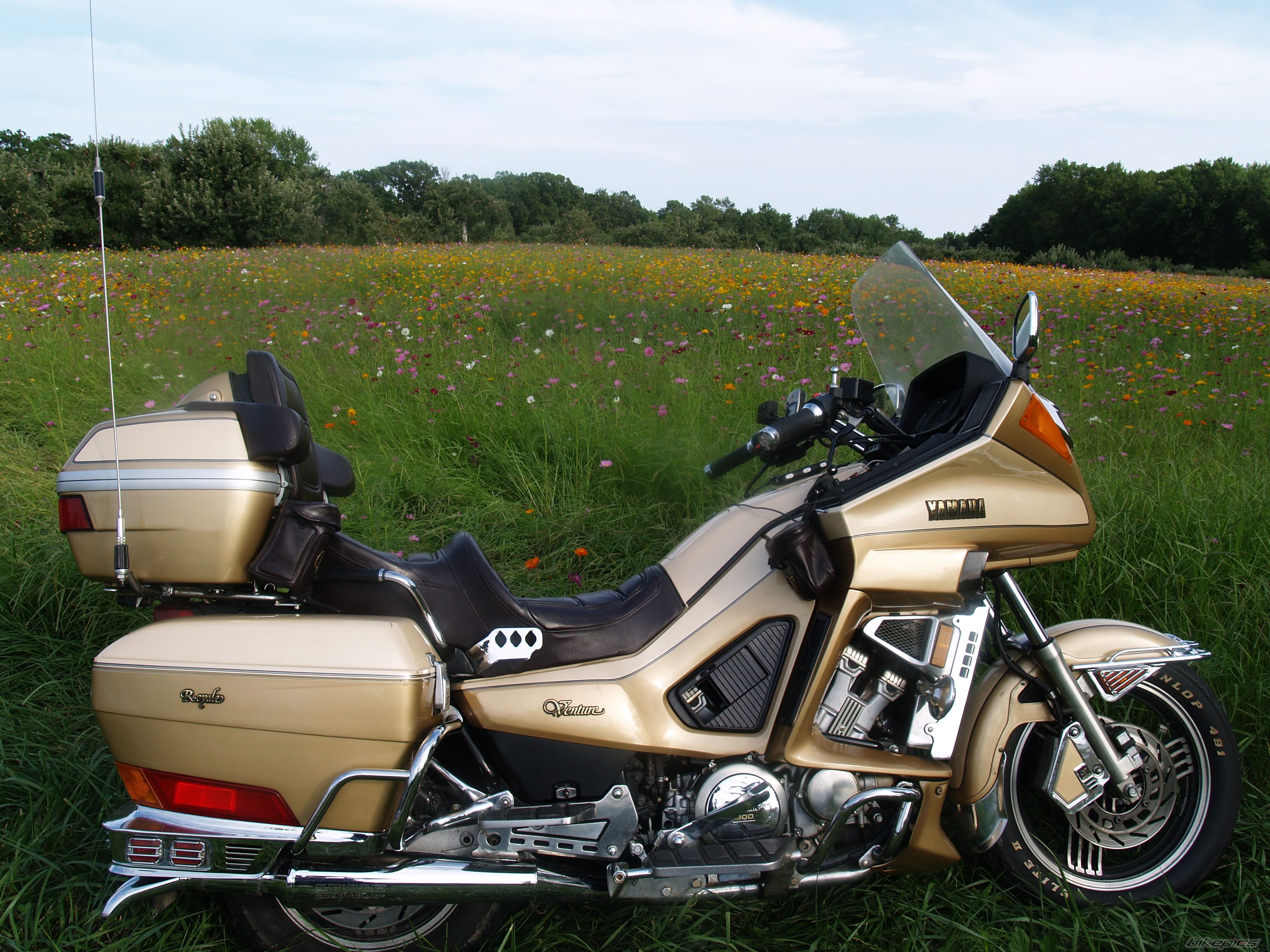 Photo 2269297