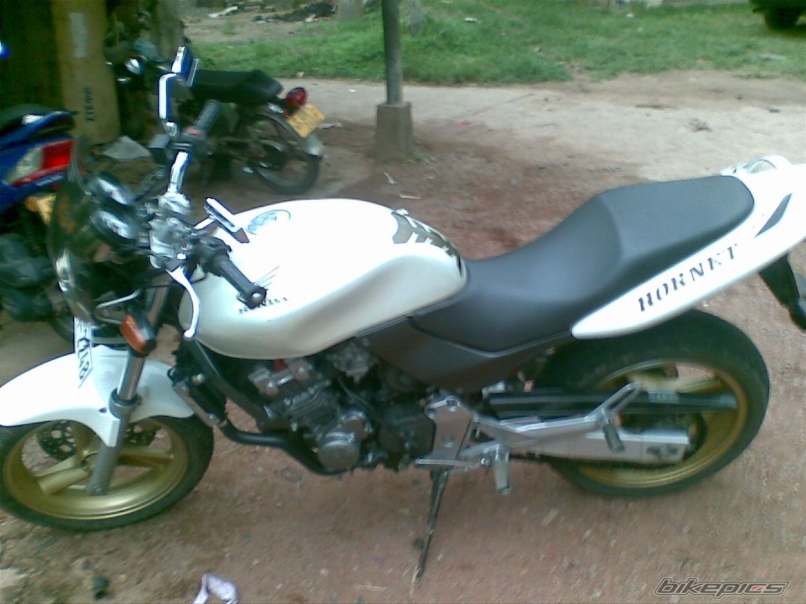 Photo 2269354
