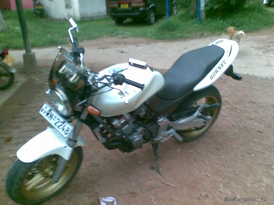 Photo 2269360