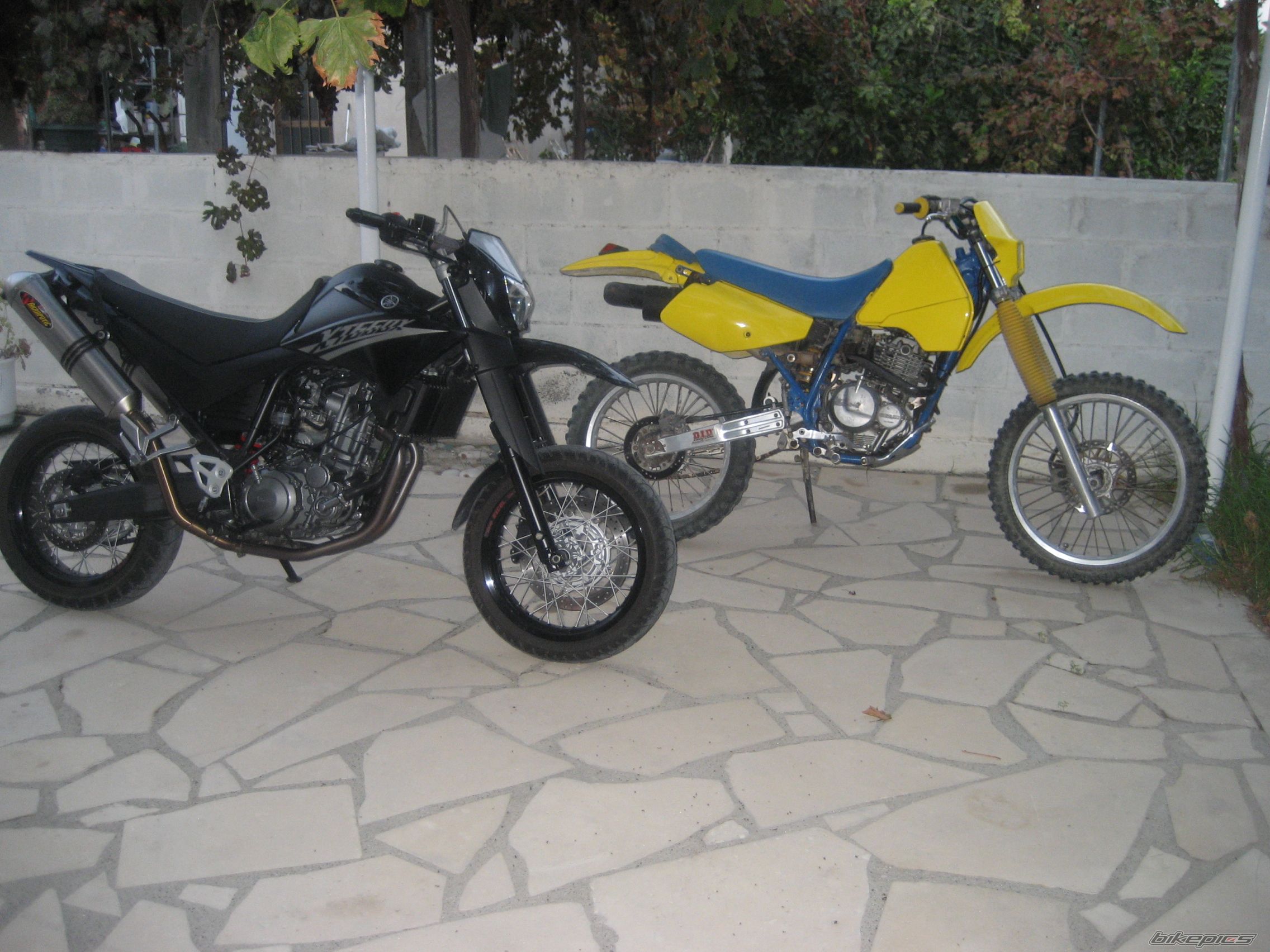 Bike Photo 2269569