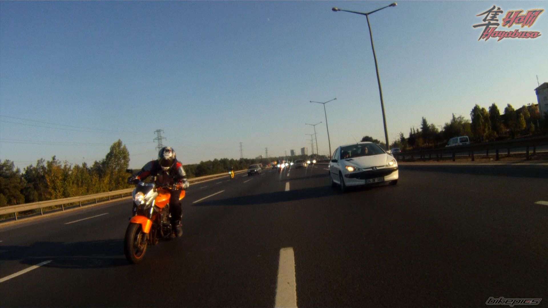 Photo 2269606
