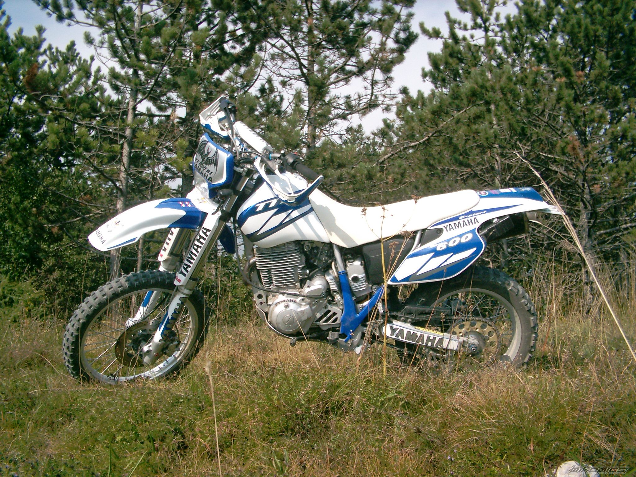 Photo 2269728
