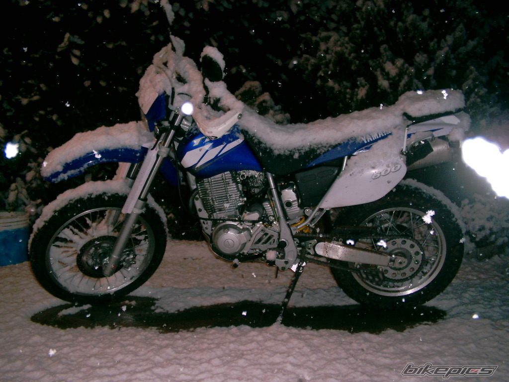 Photo 2269731