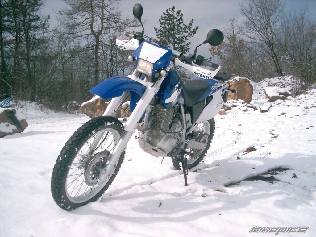 Photo 2269732