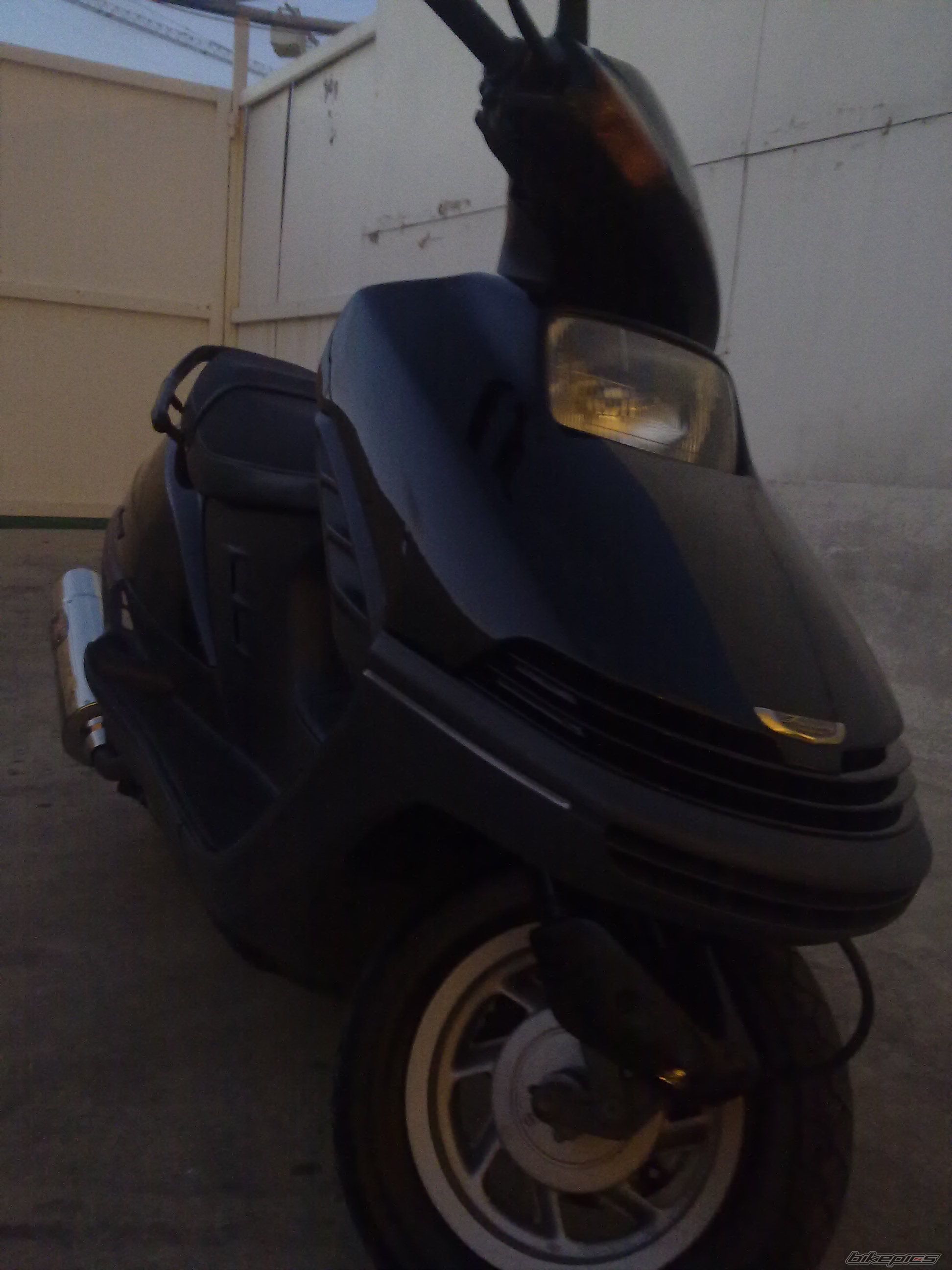 Photo 2269784