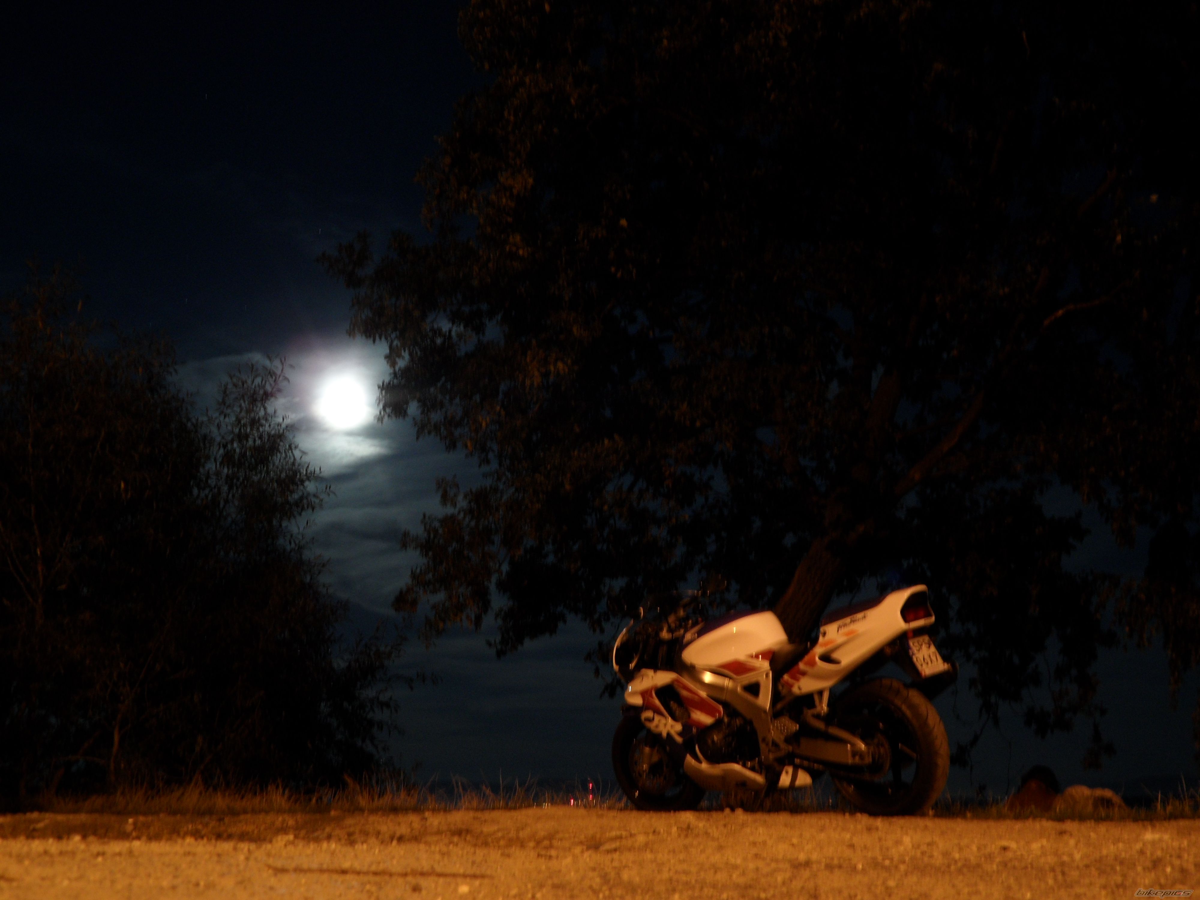 Photo 2269810