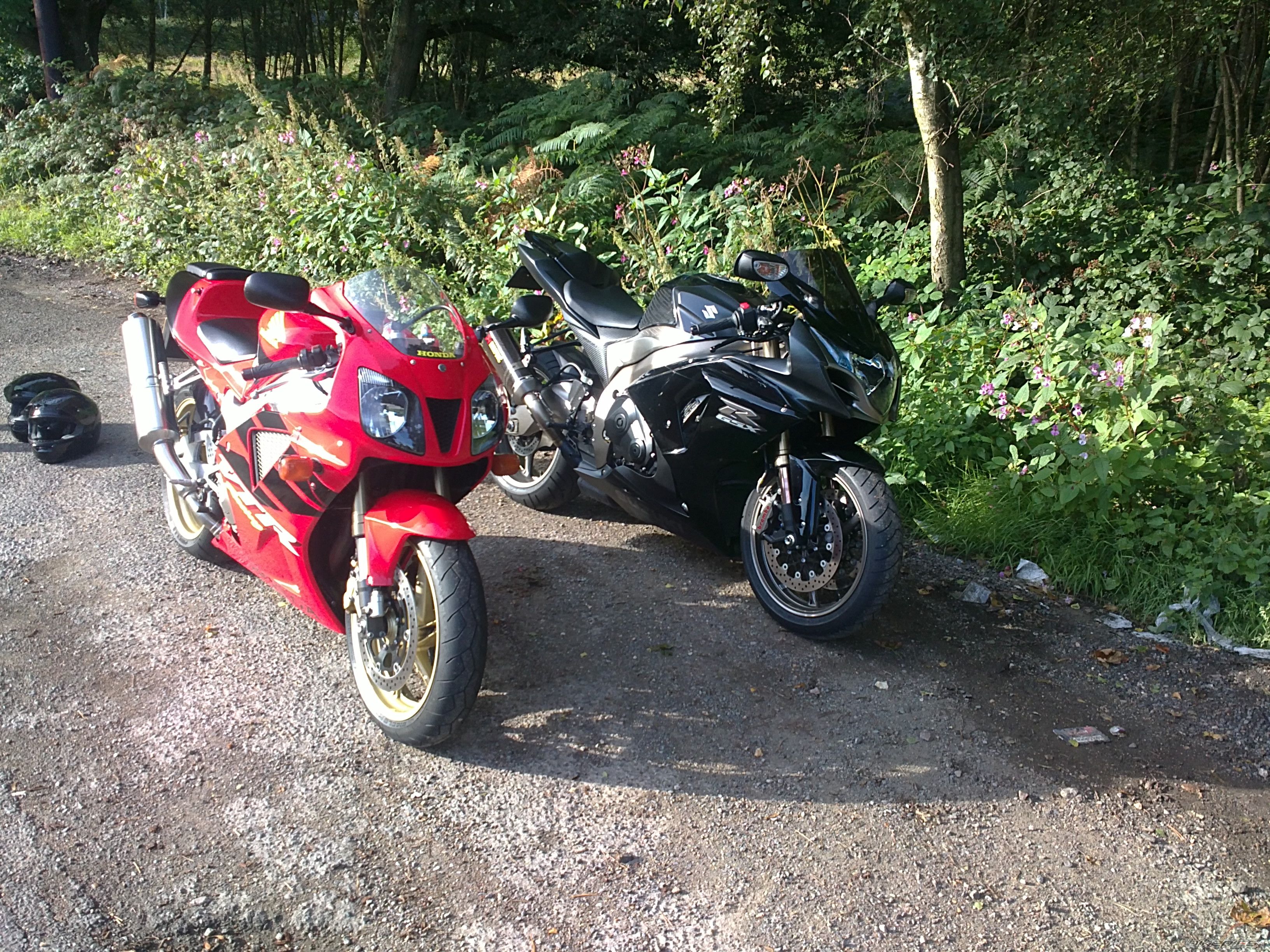 Photo 2269842