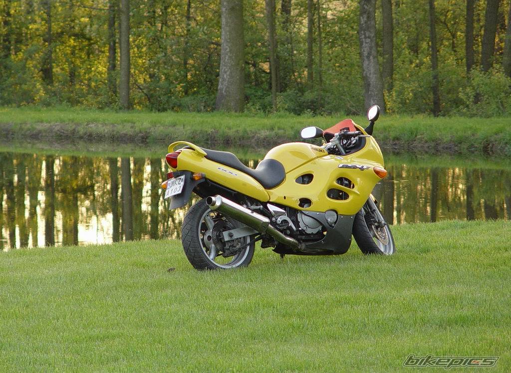 Photo 226987
