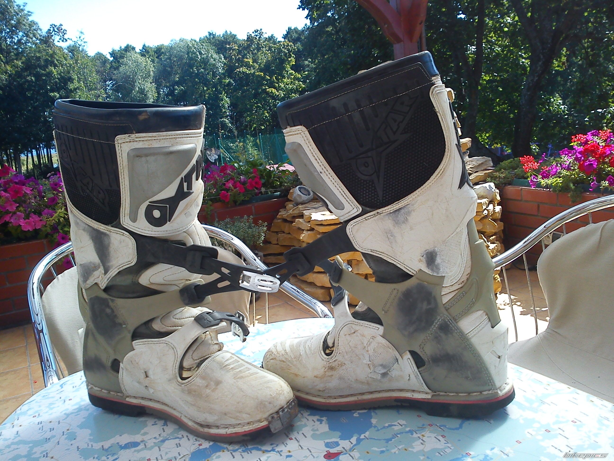 Photo 2269870