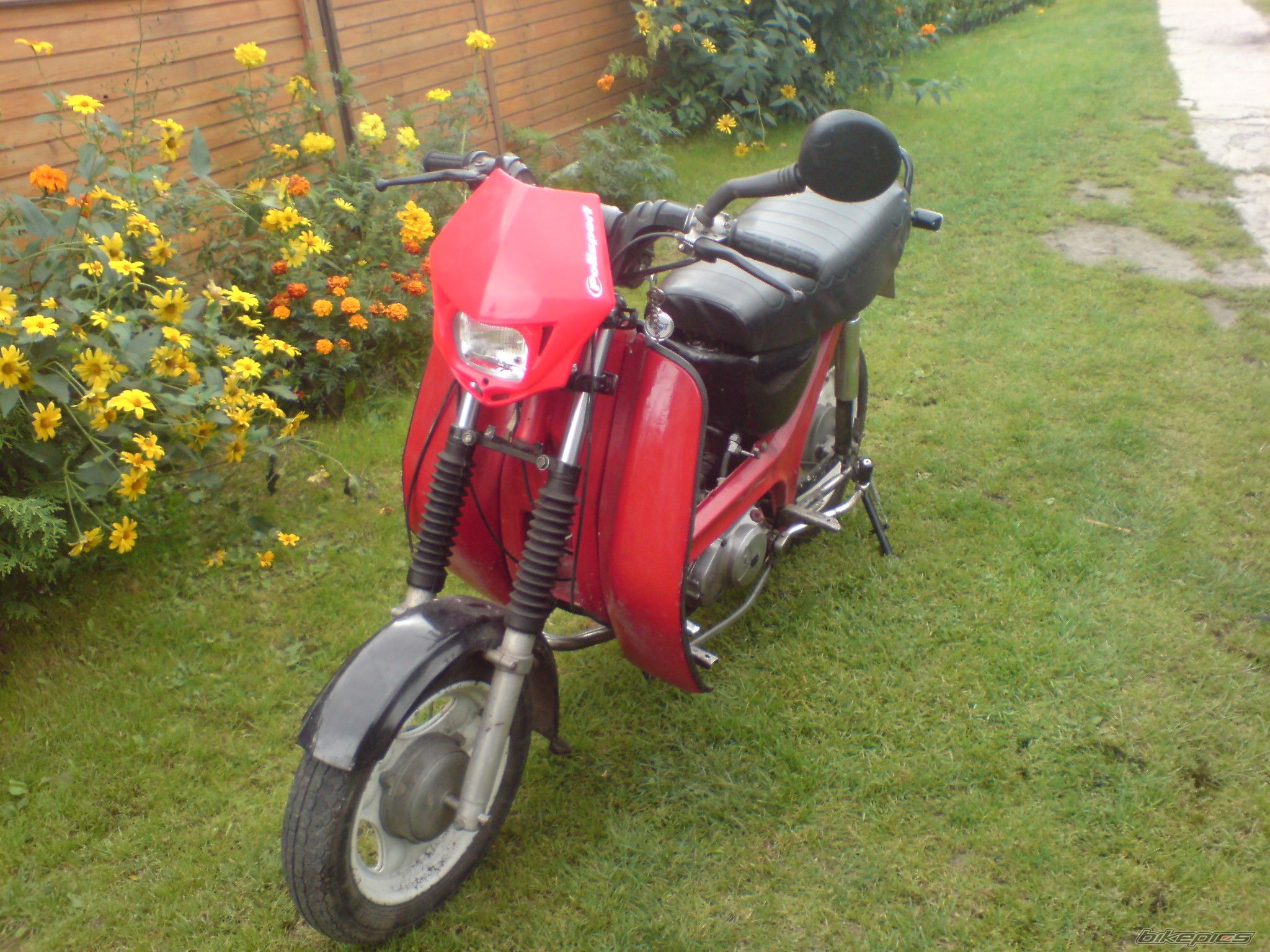 Photo 2269935