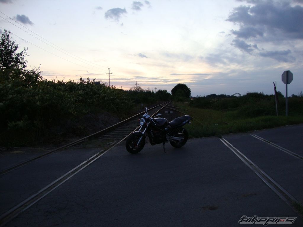 Photo 2269948
