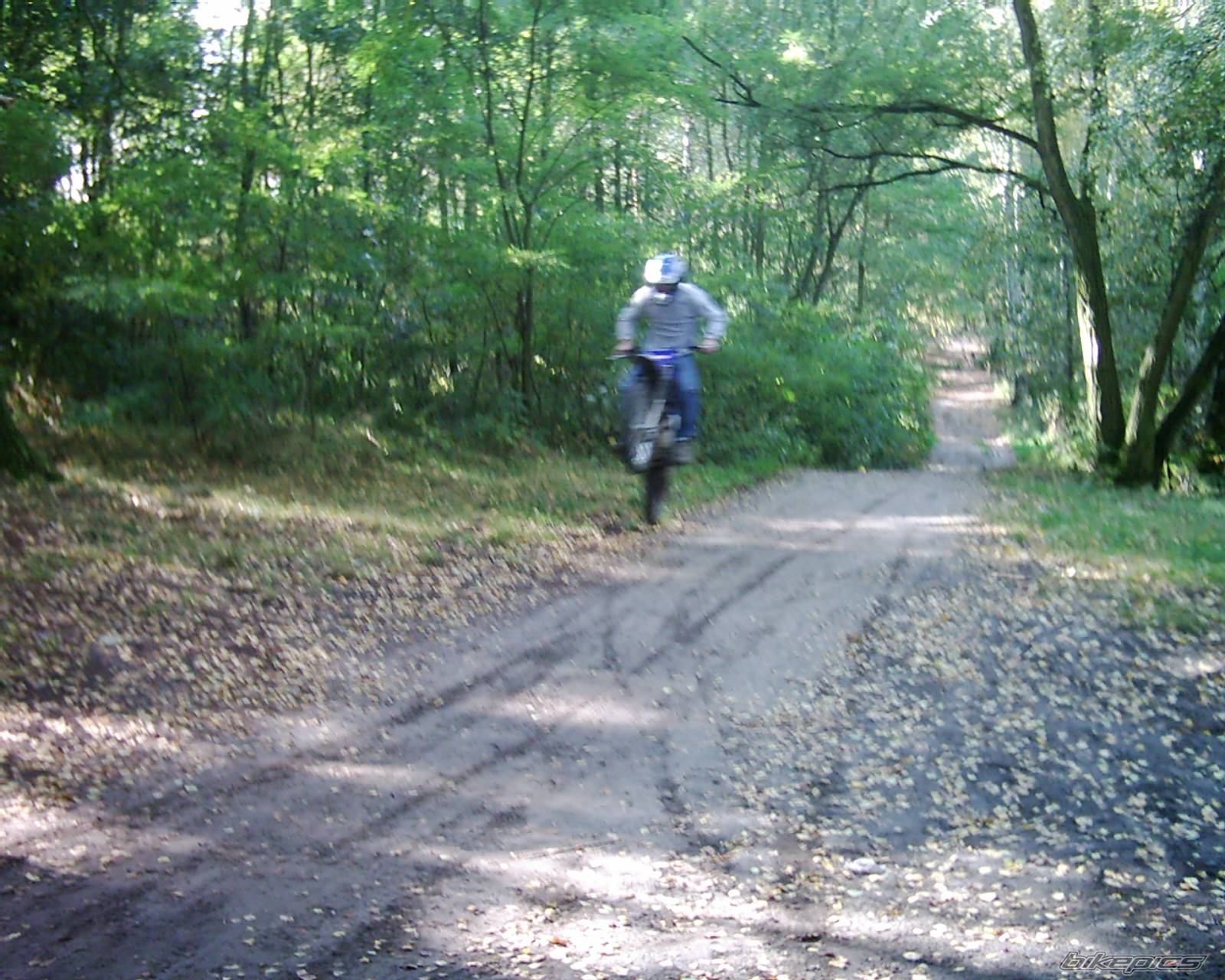 Bike Photo 226999