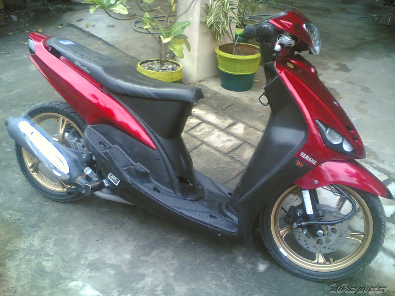 Photo 2270007