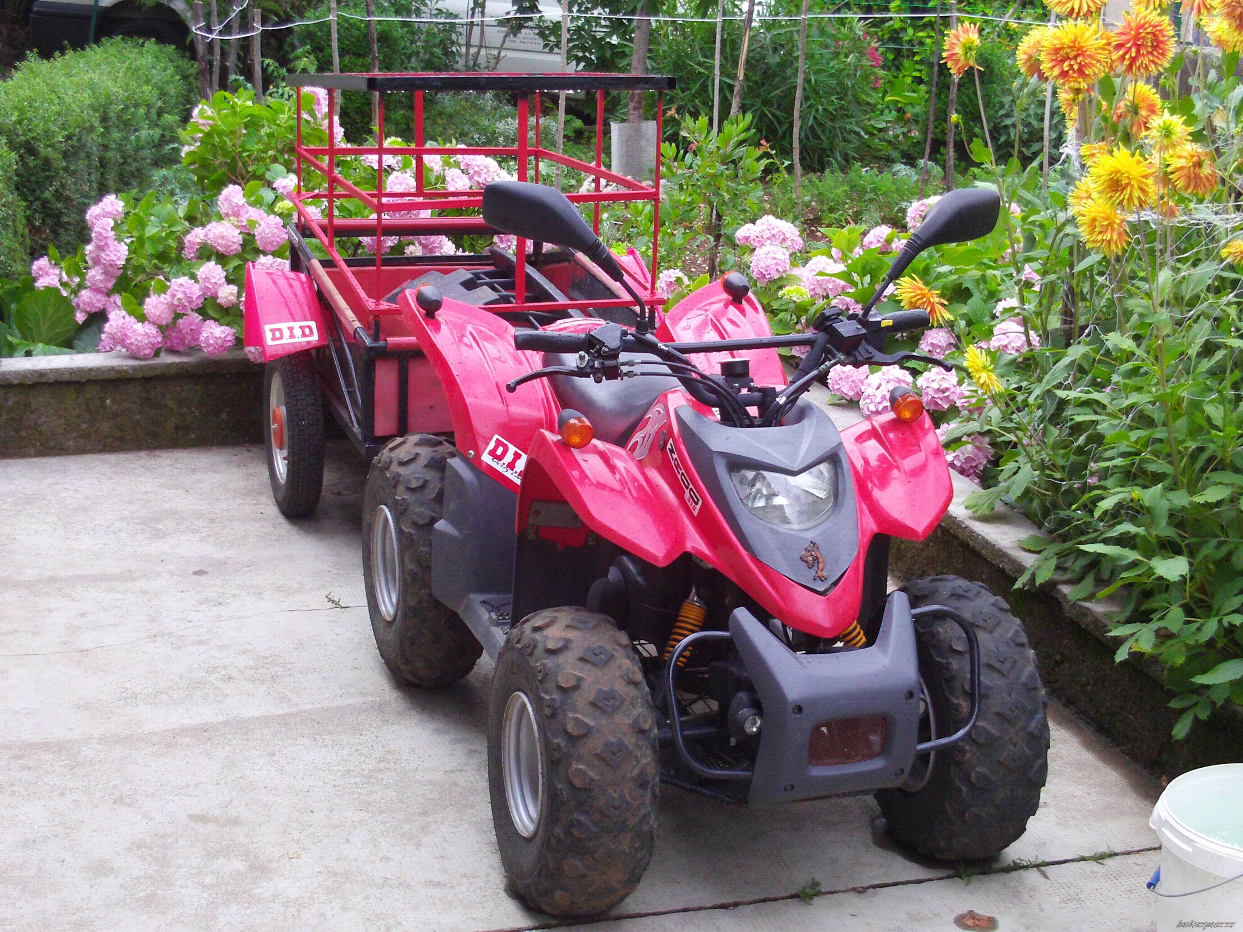 Bike Photo 2270162