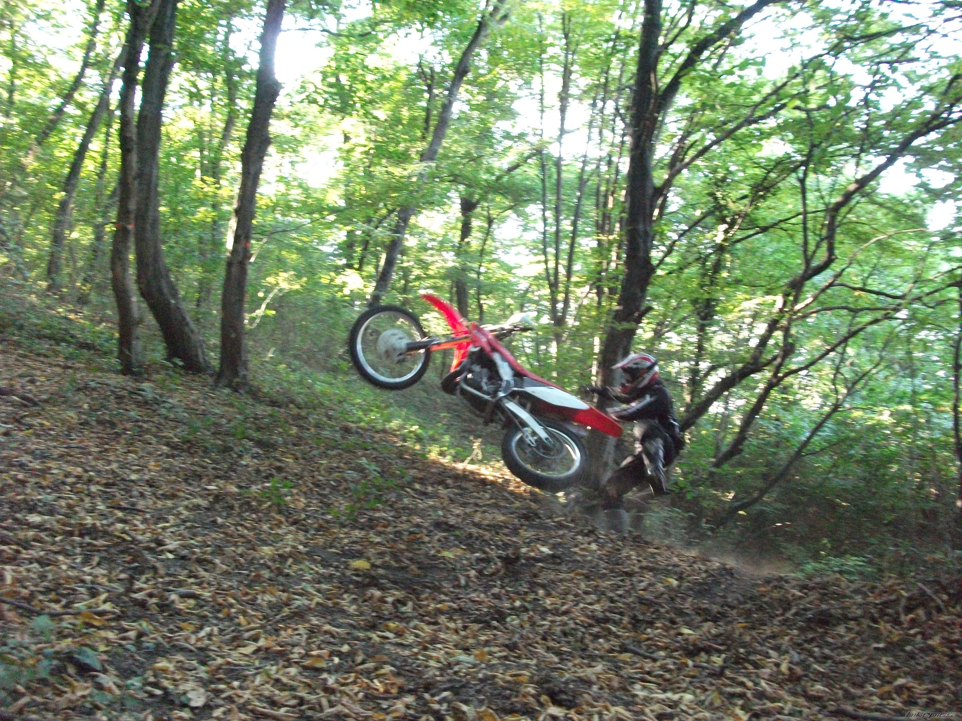 Photo 2270253