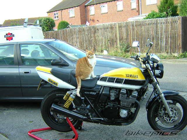 Bike Photo 227027