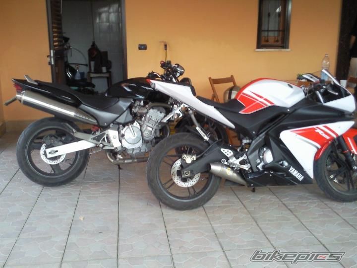 Photo 2270270