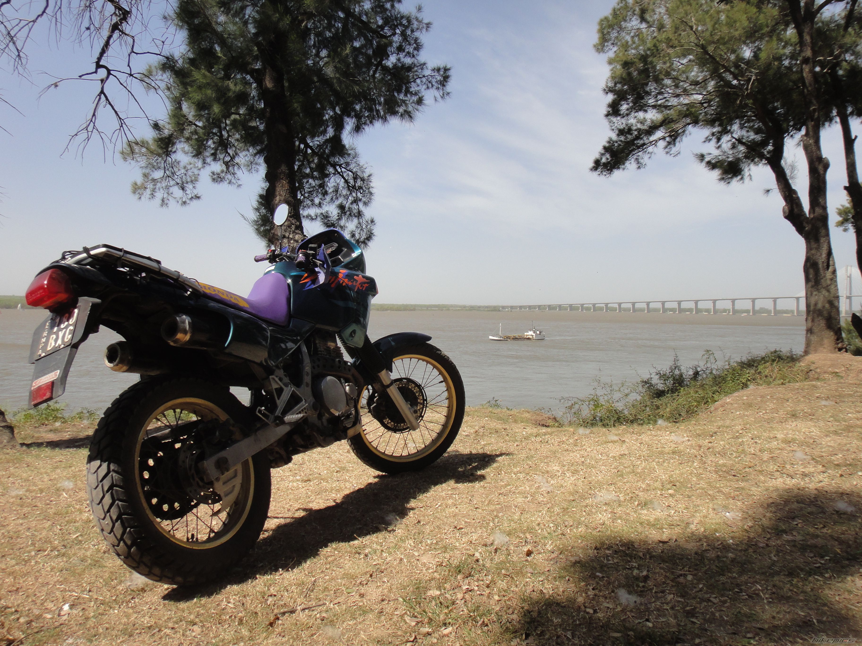 Photo 2270284