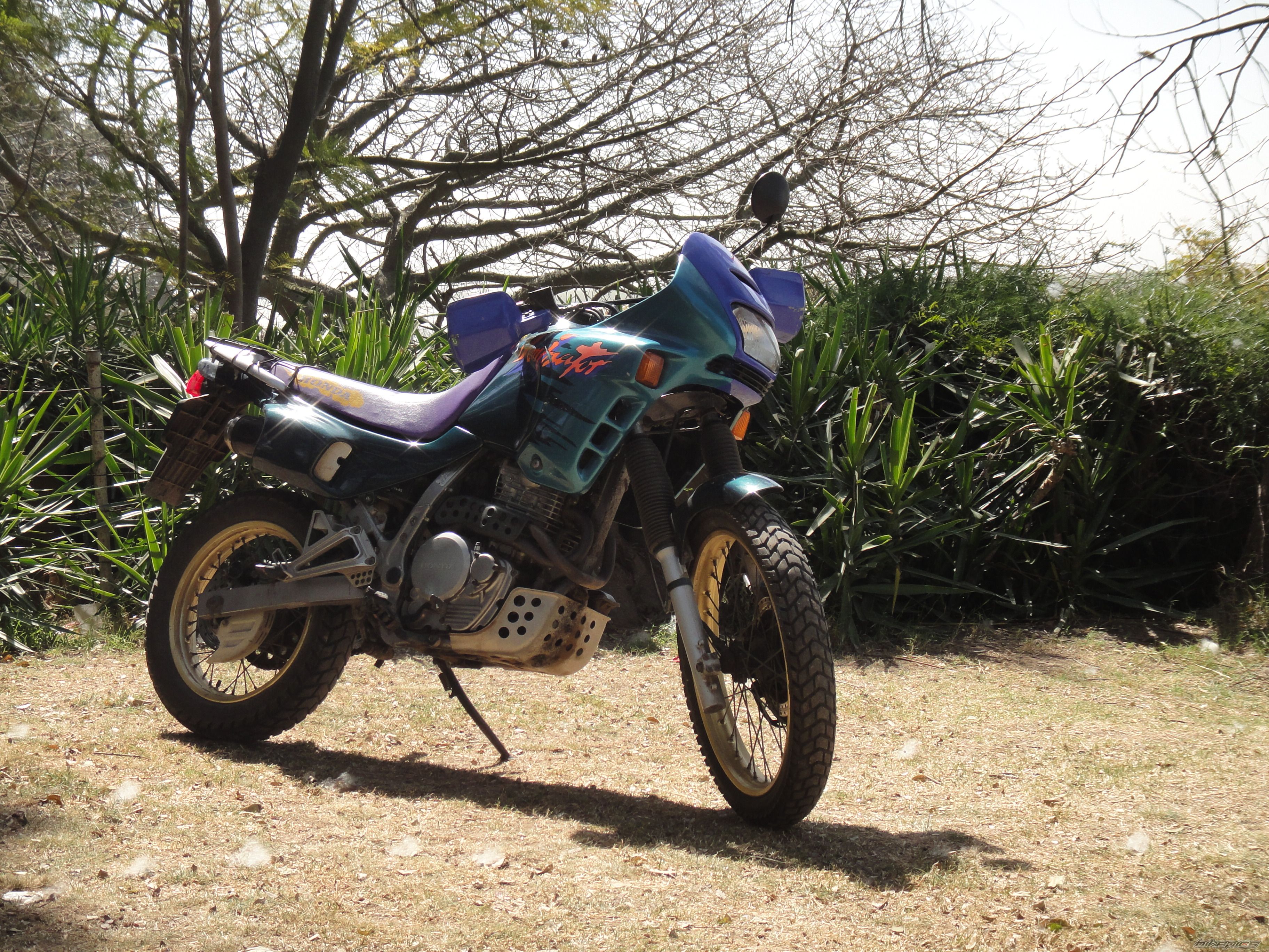 Photo 2270288
