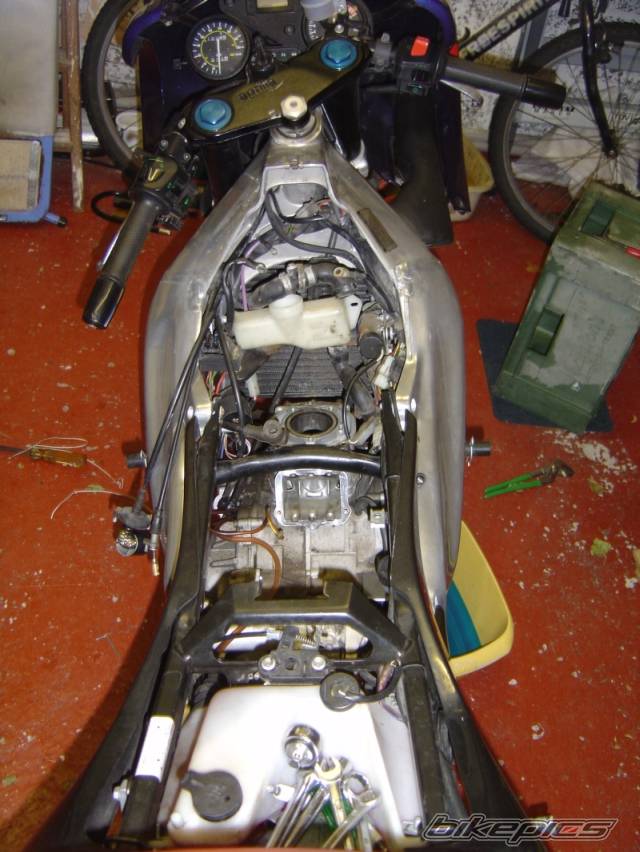 Photo 227033