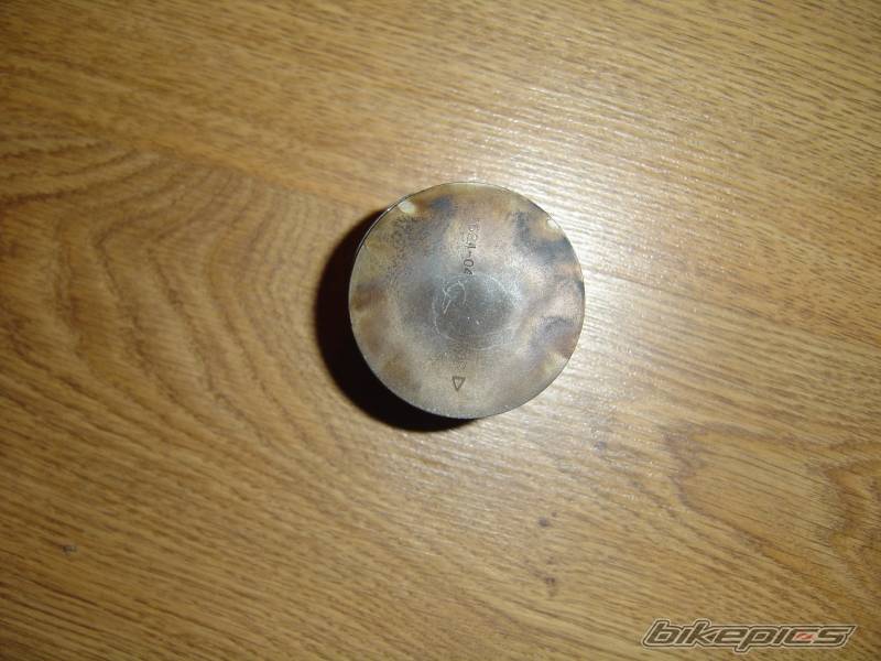 Photo 227040