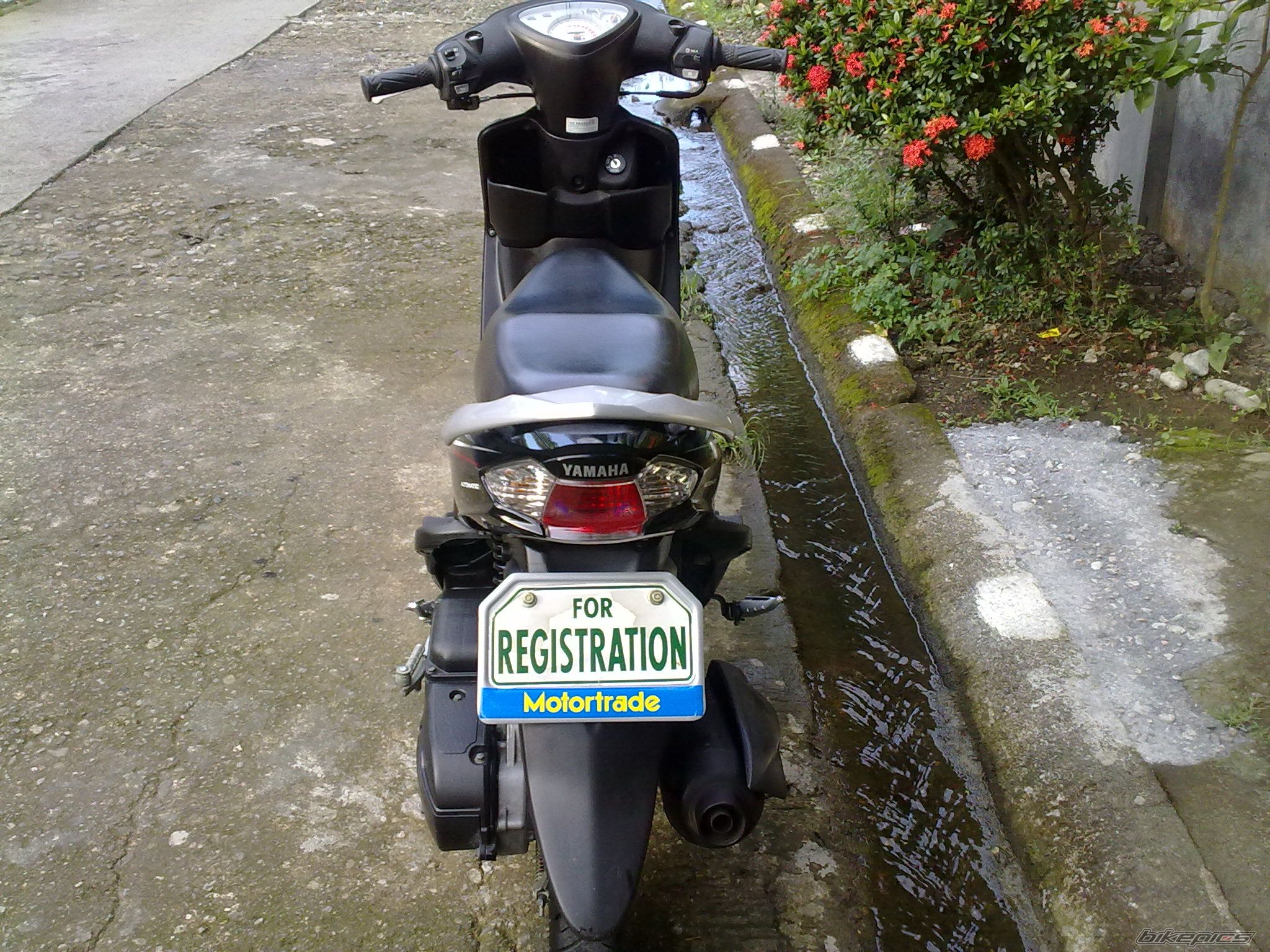 Photo 2270417