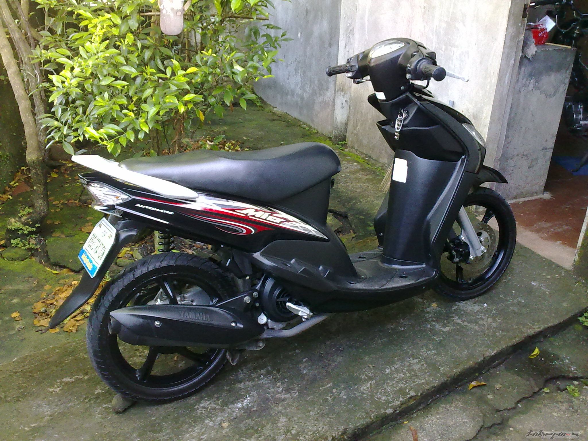 Photo 2270420