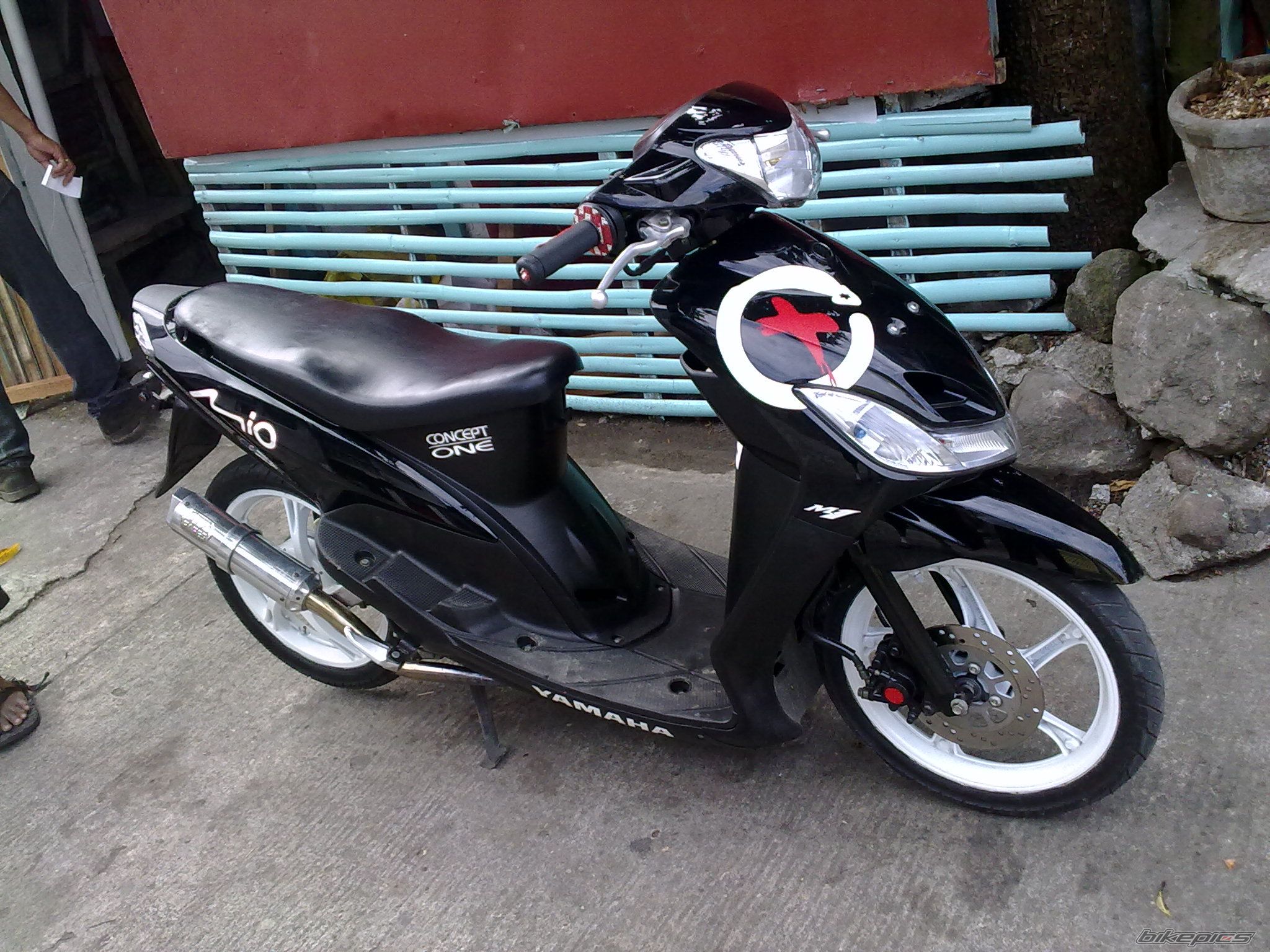 Photo 2270424