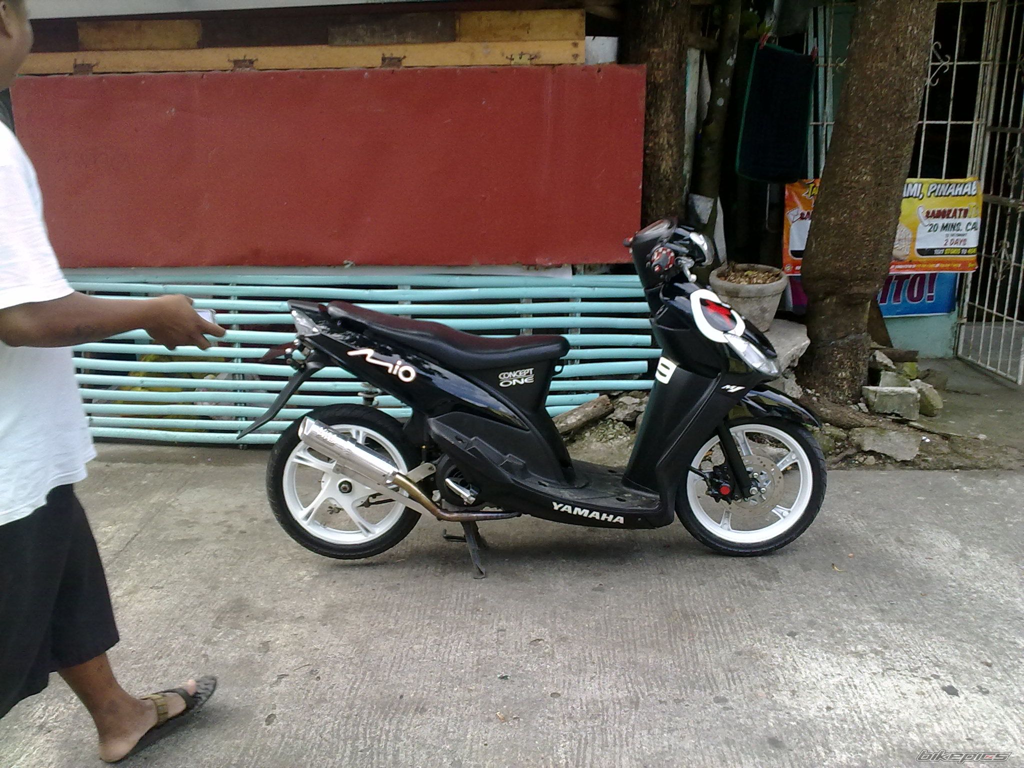Photo 2270425