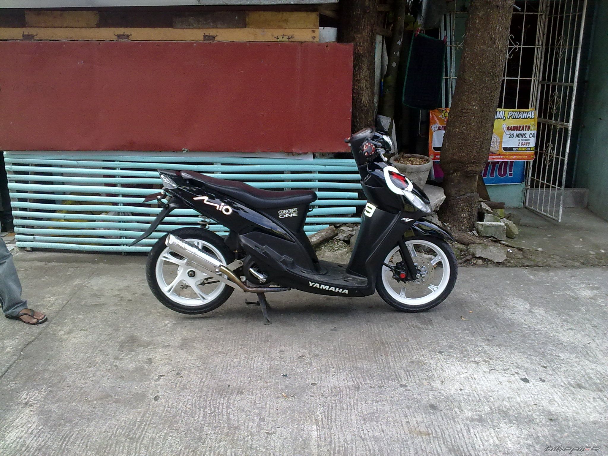 Photo 2270426