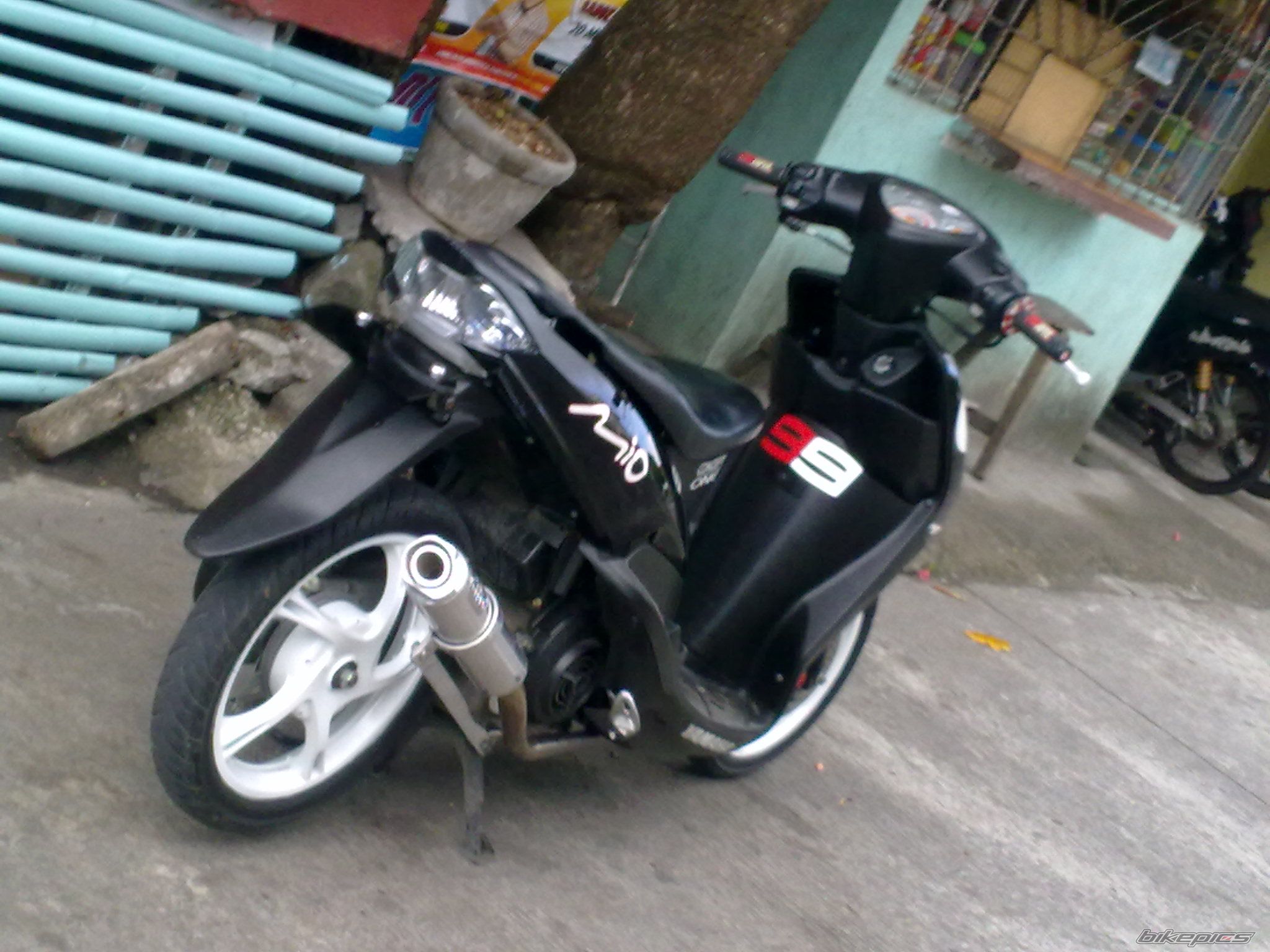 Photo 2270429