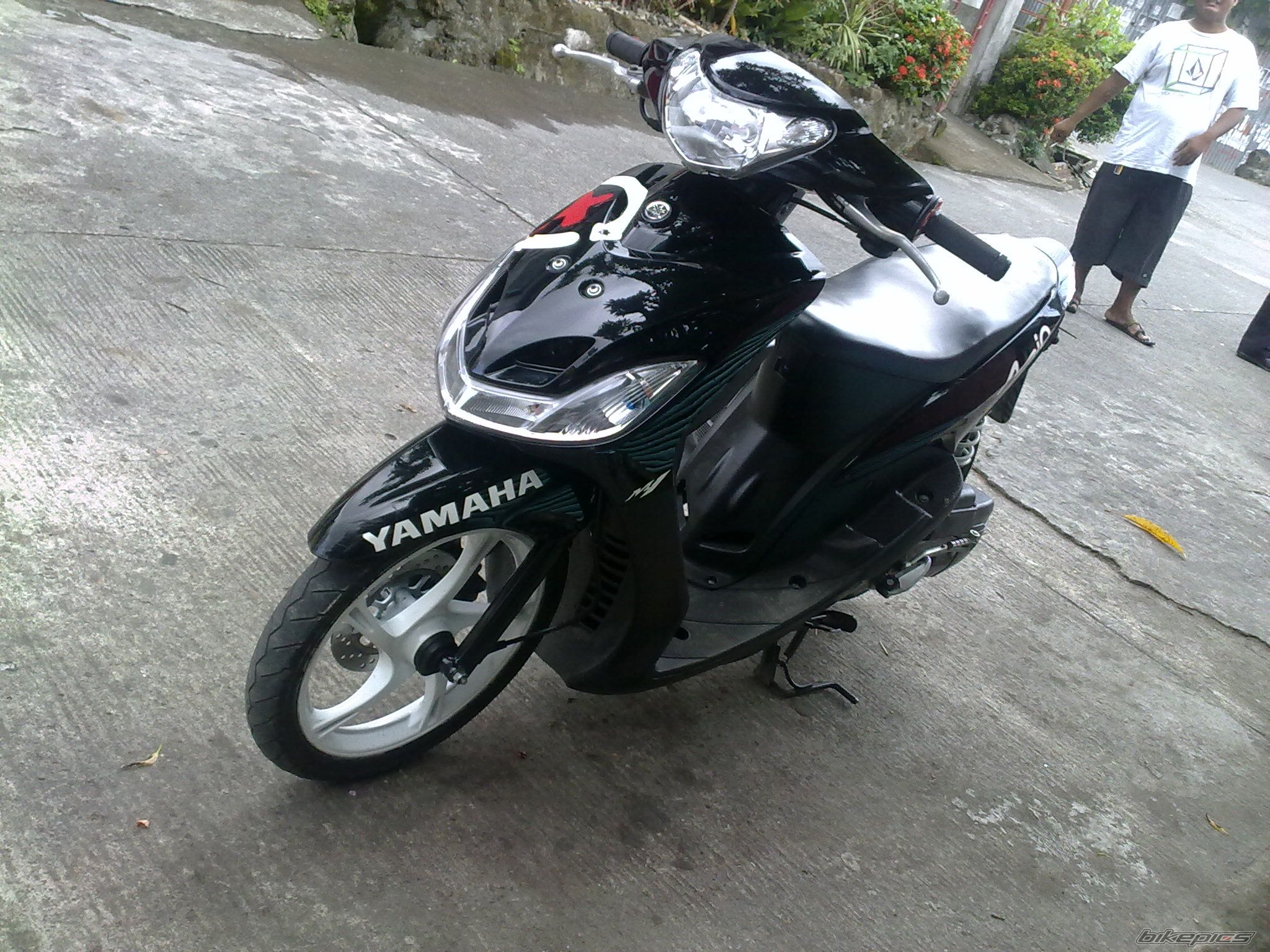 Photo 2270431