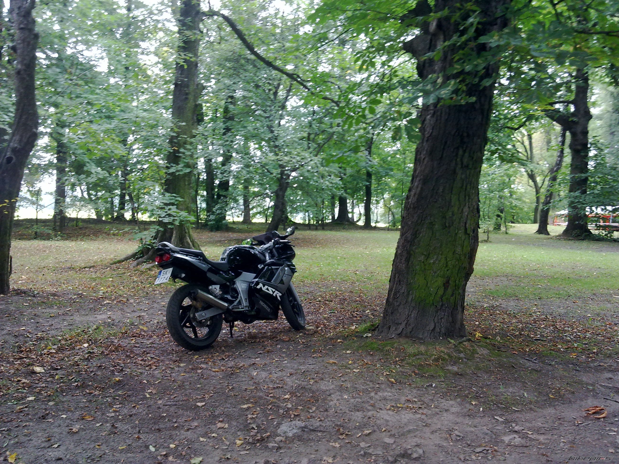 Photo 2270487