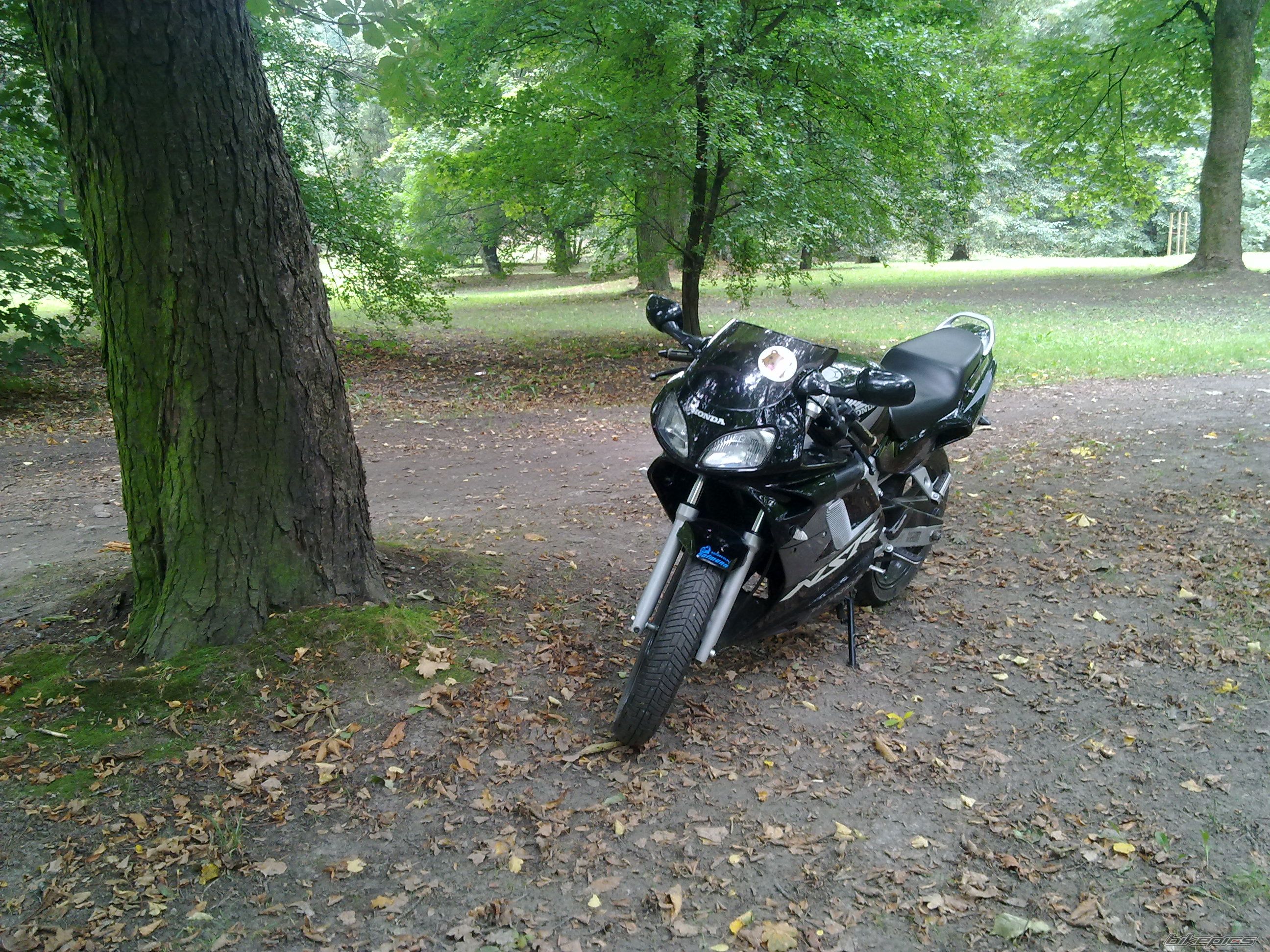 Photo 2270488