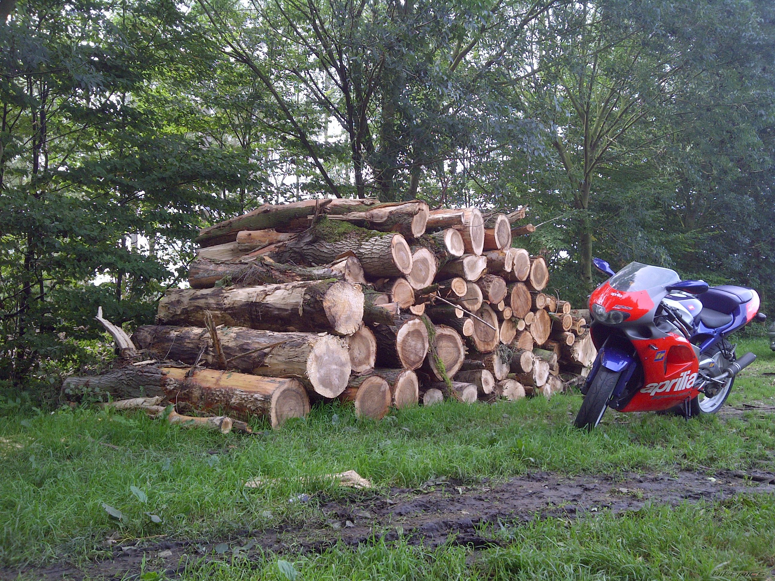 Photo 2270543