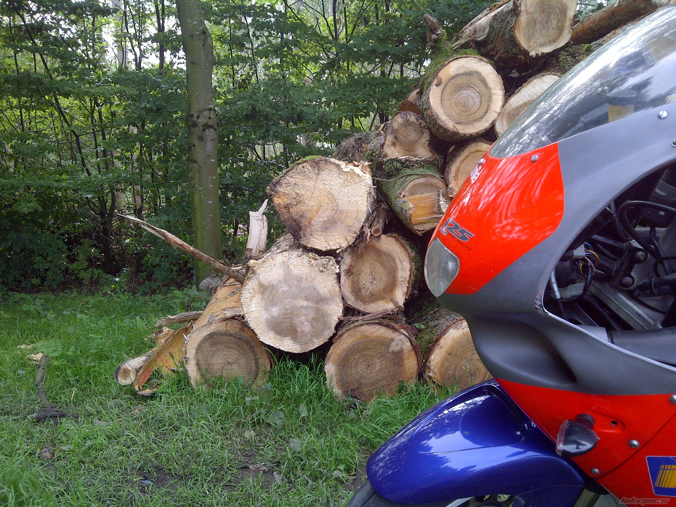 Photo 2270546