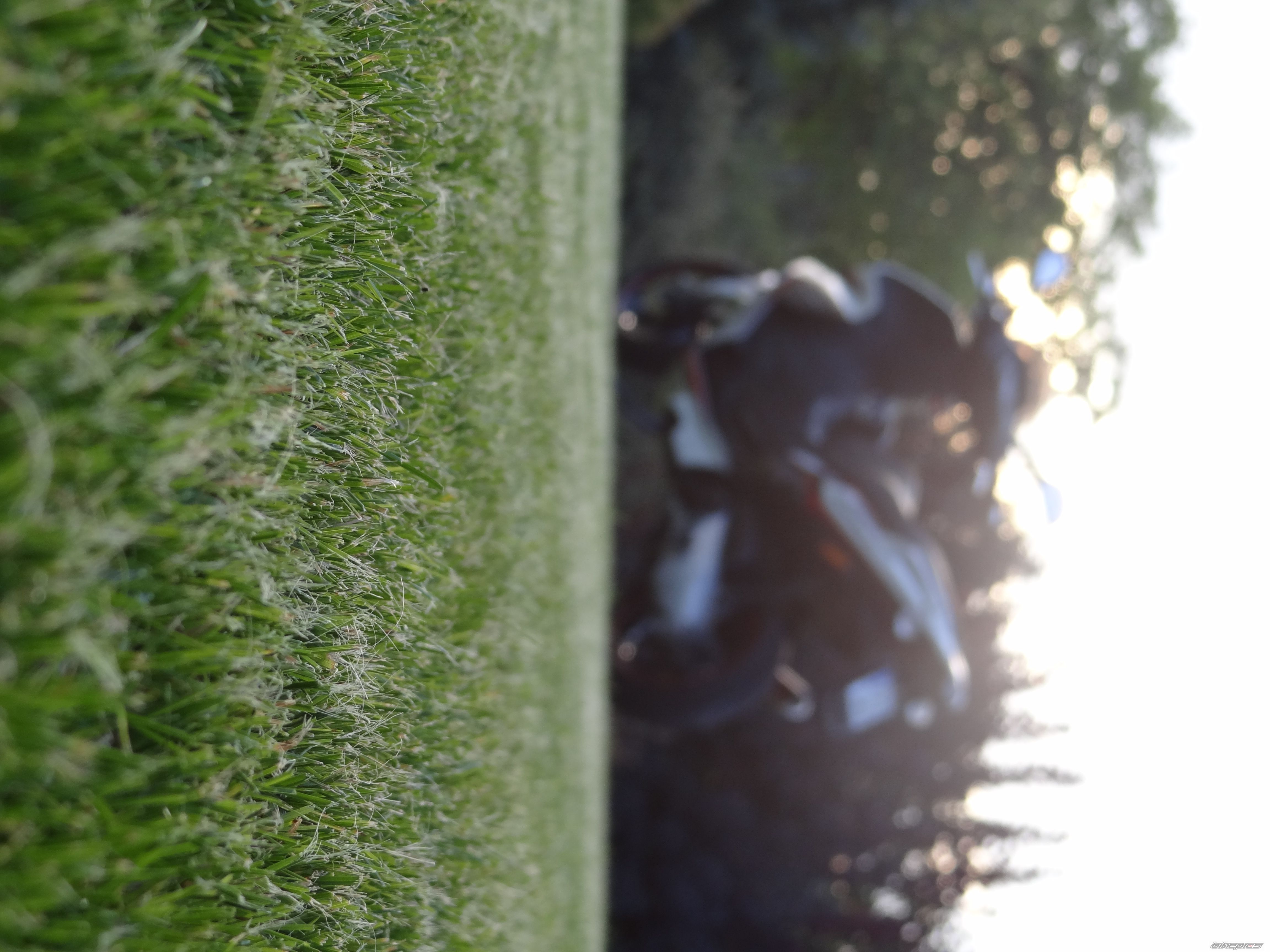 Photo 2270633