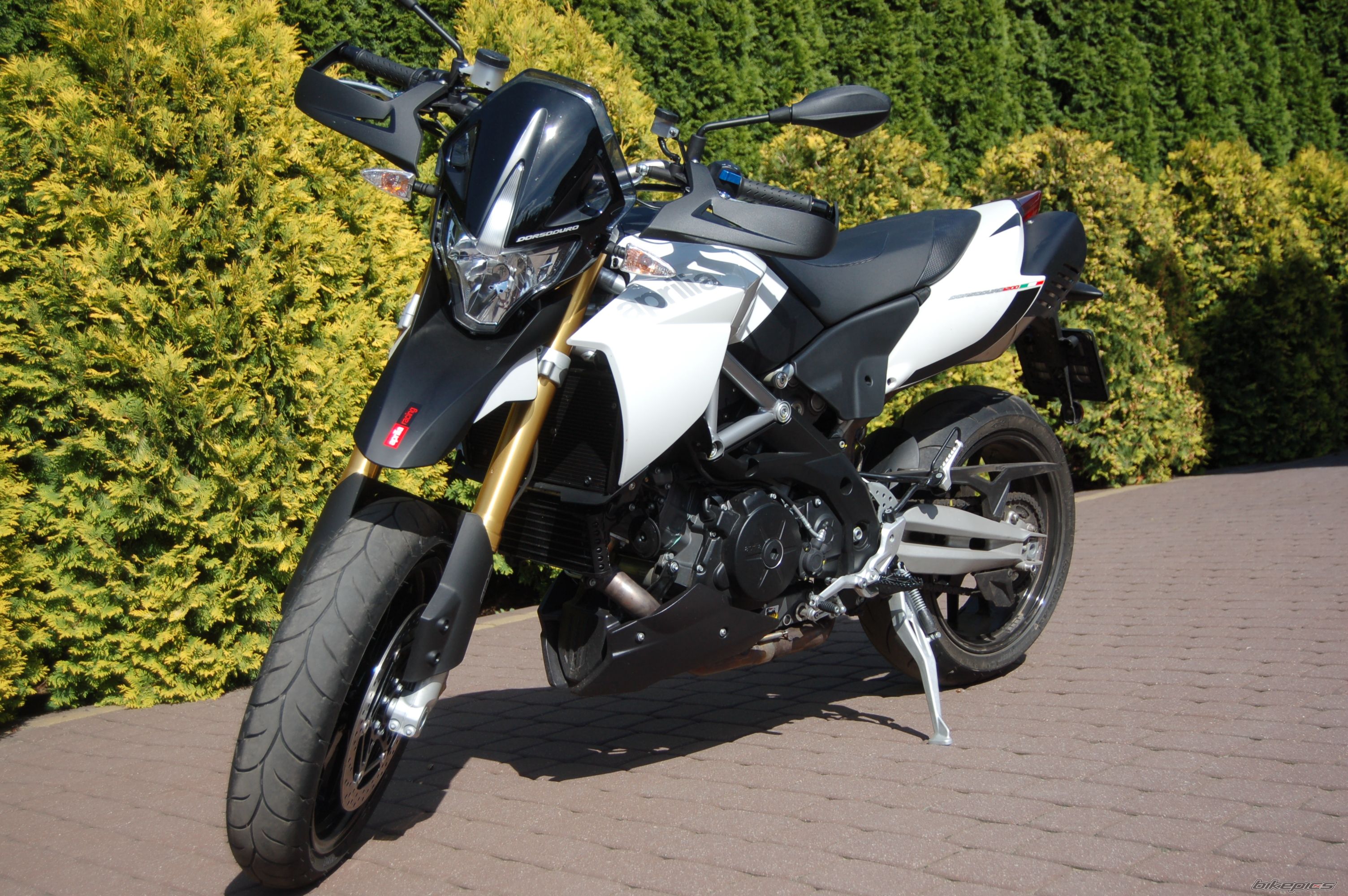Photo 2270759