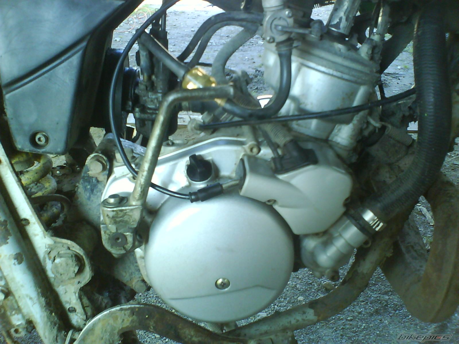 Photo 2270785