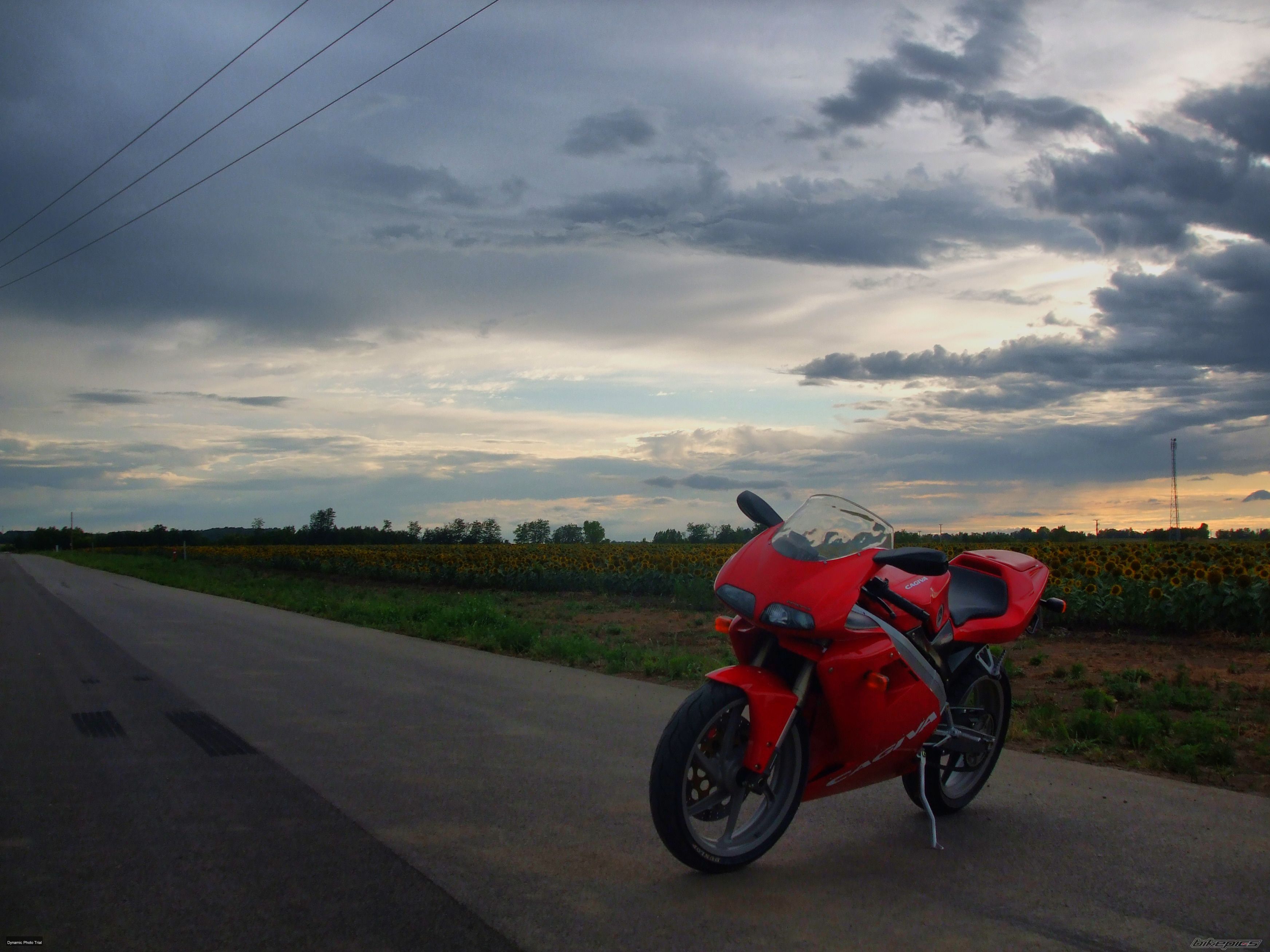 Photo 2270806