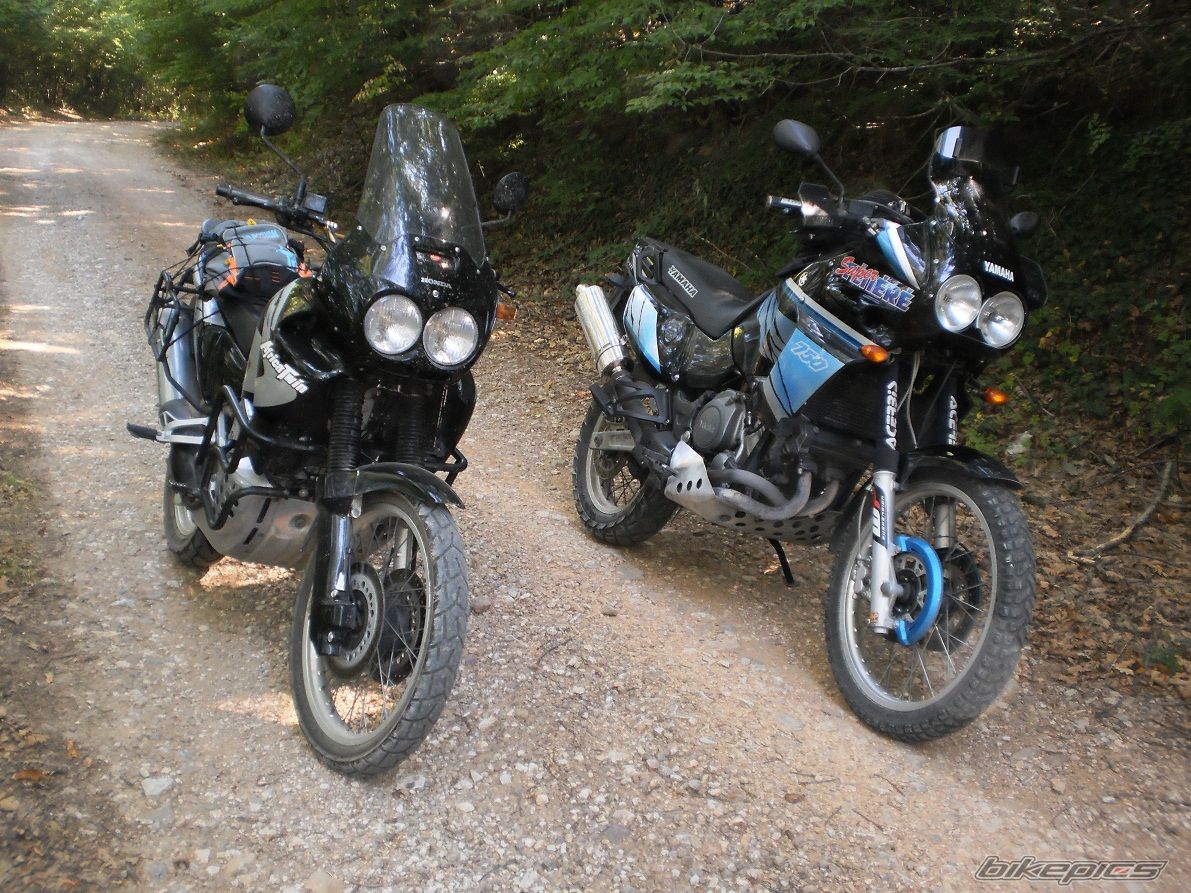 Photo 2270924