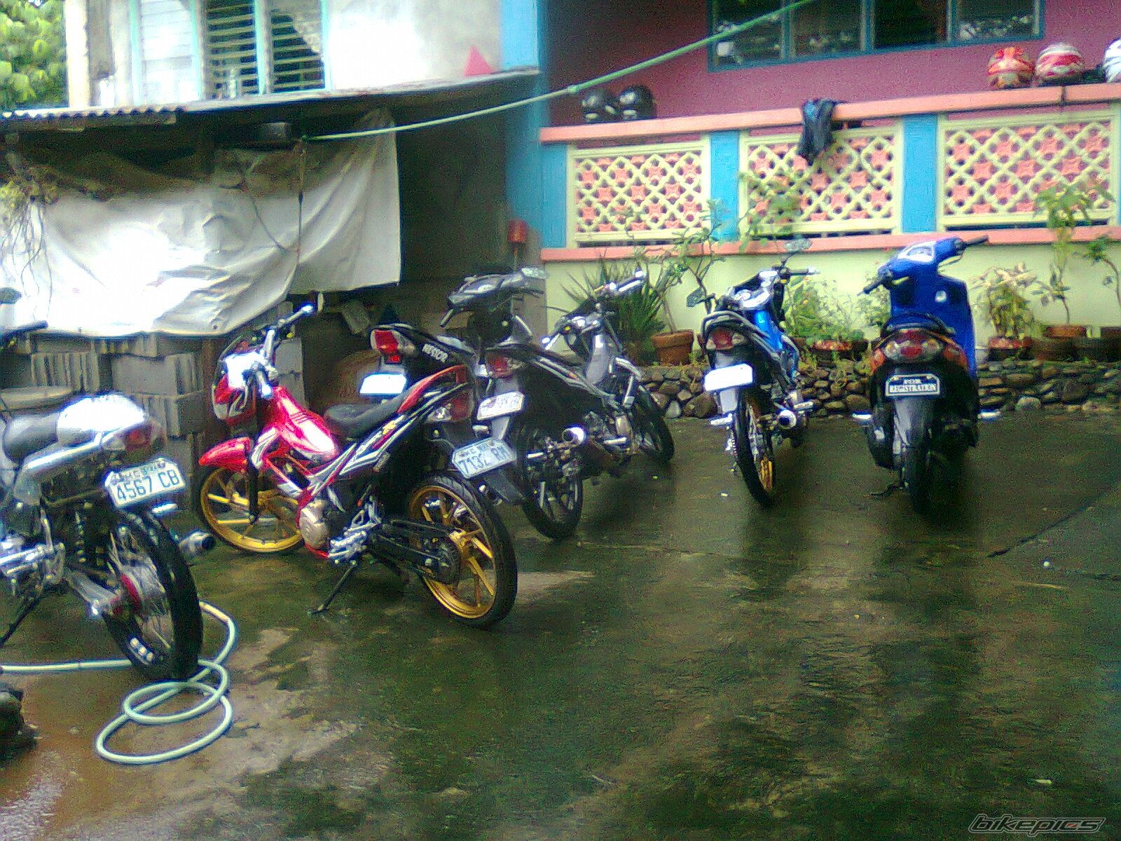 Photo 2270954