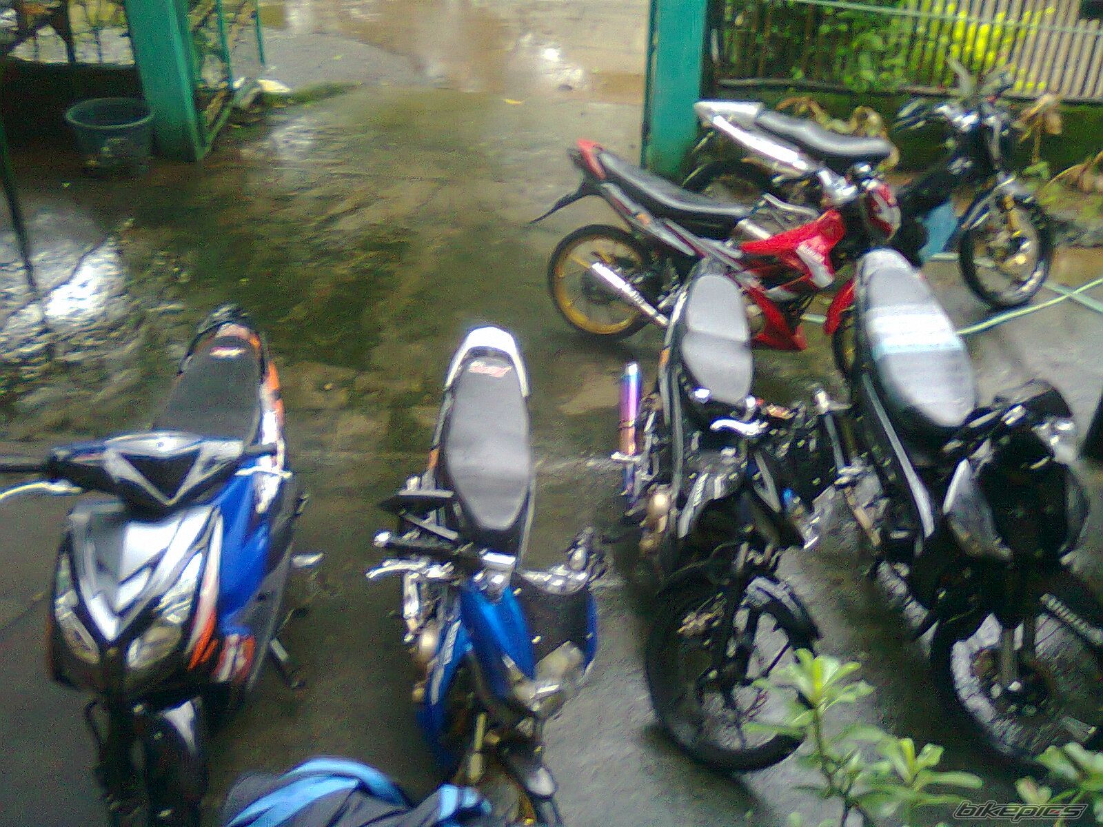 Photo 2270959