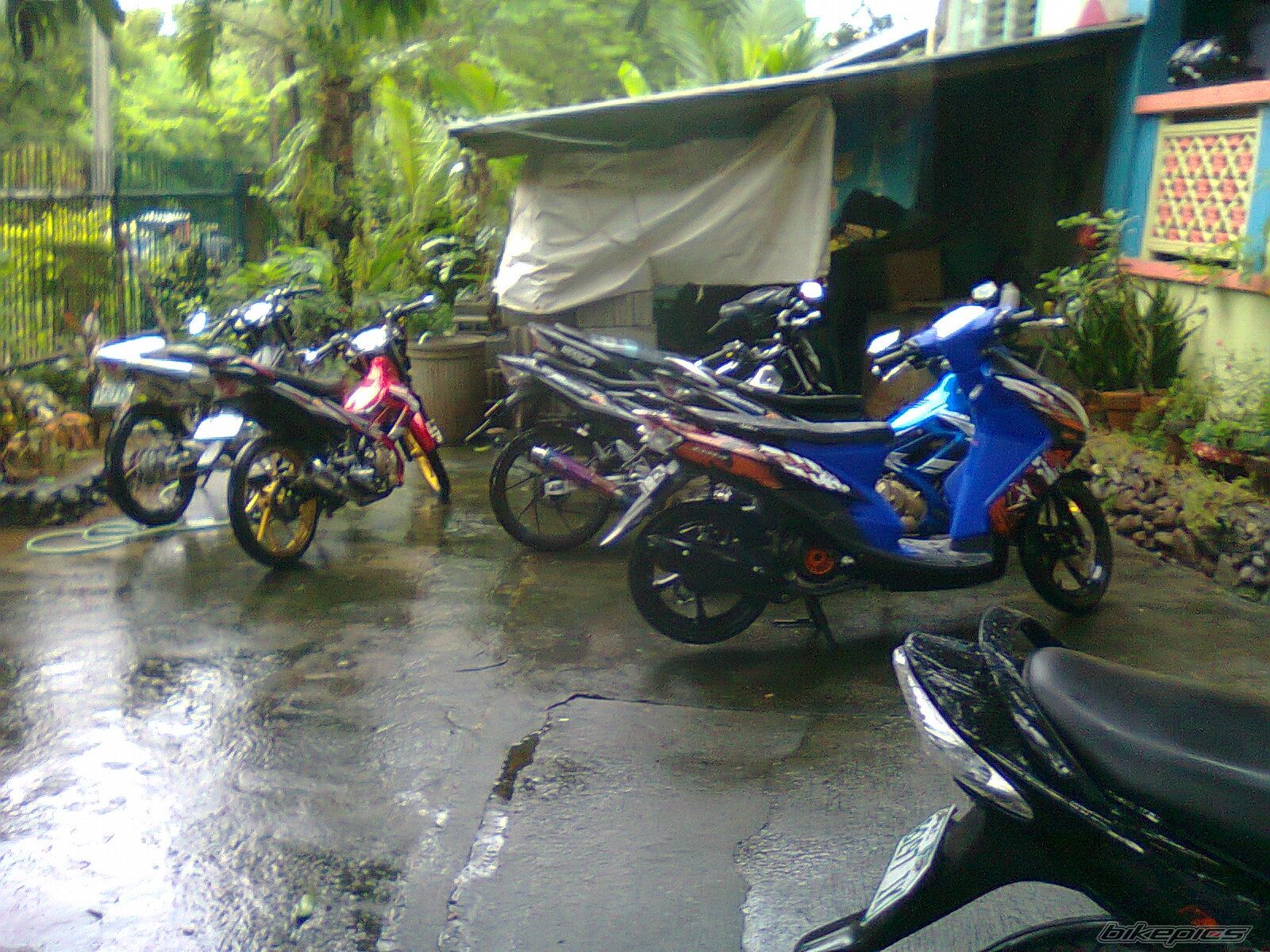 Photo 2270961